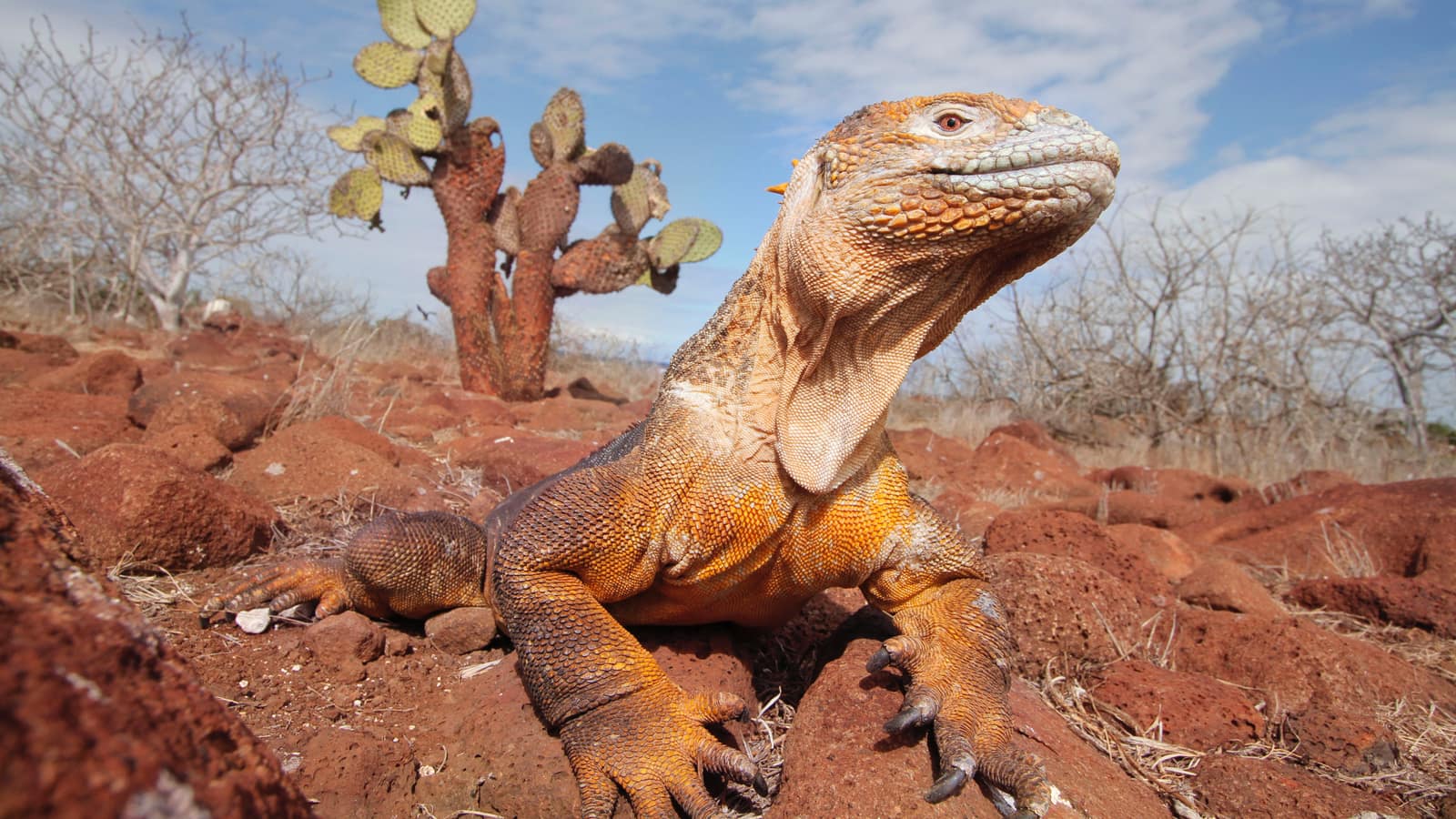 Galápagos Islands