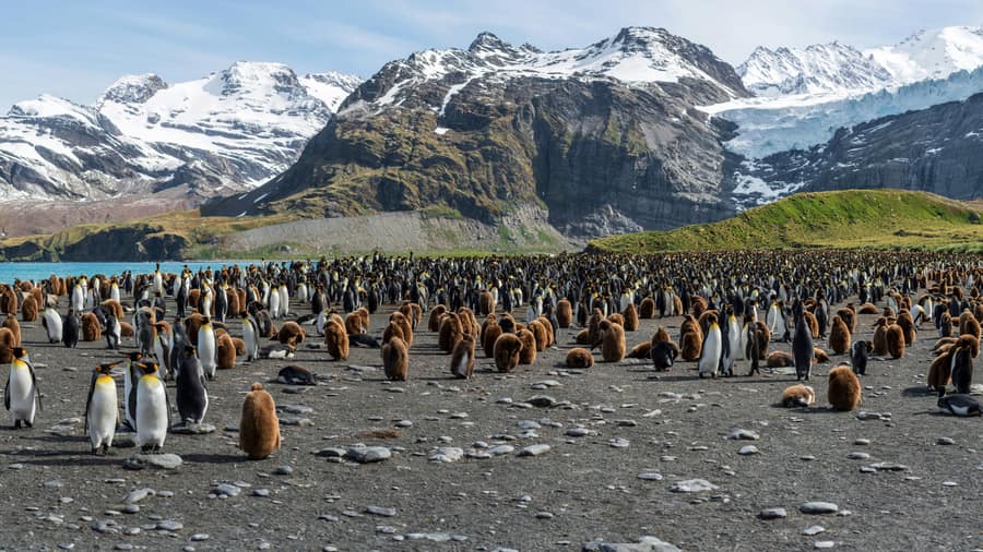 South Georgia Island
