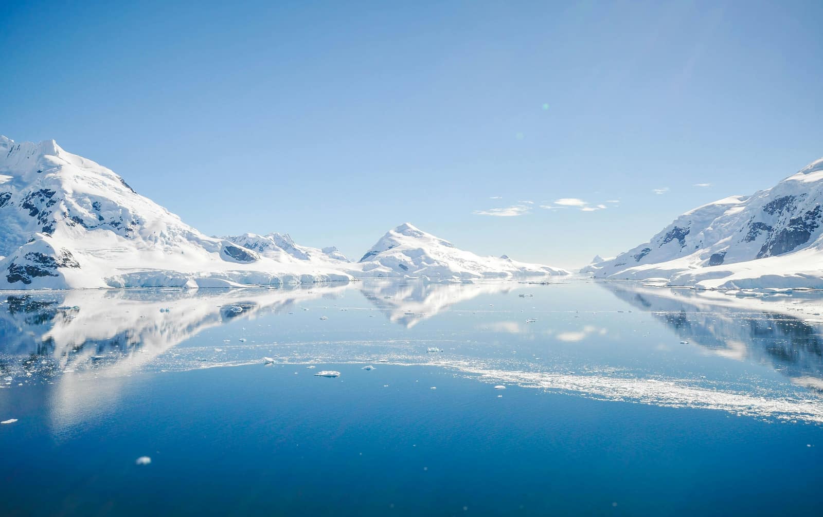 Antarctic Experience