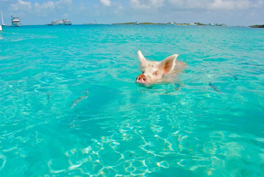 Great Stirrup Cay