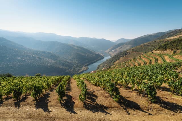 Vega de Terron, Portugal