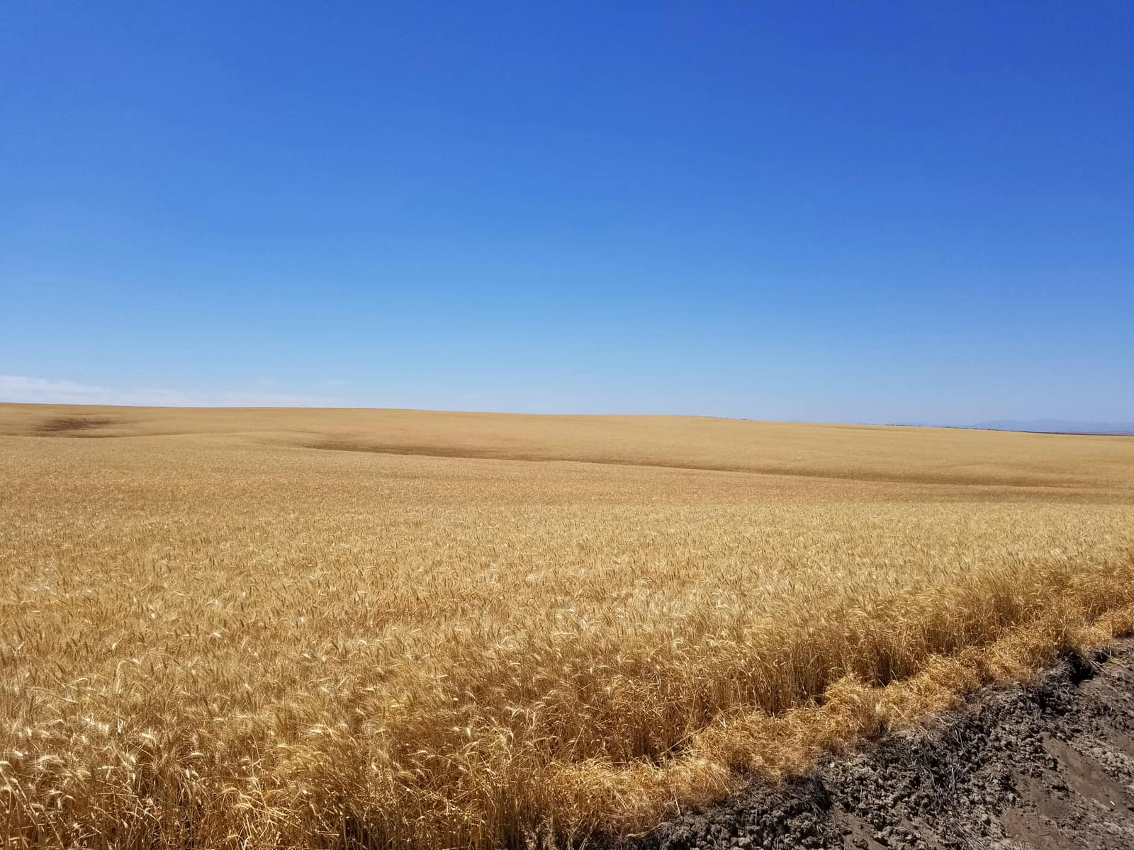 Pendleton, Oregon