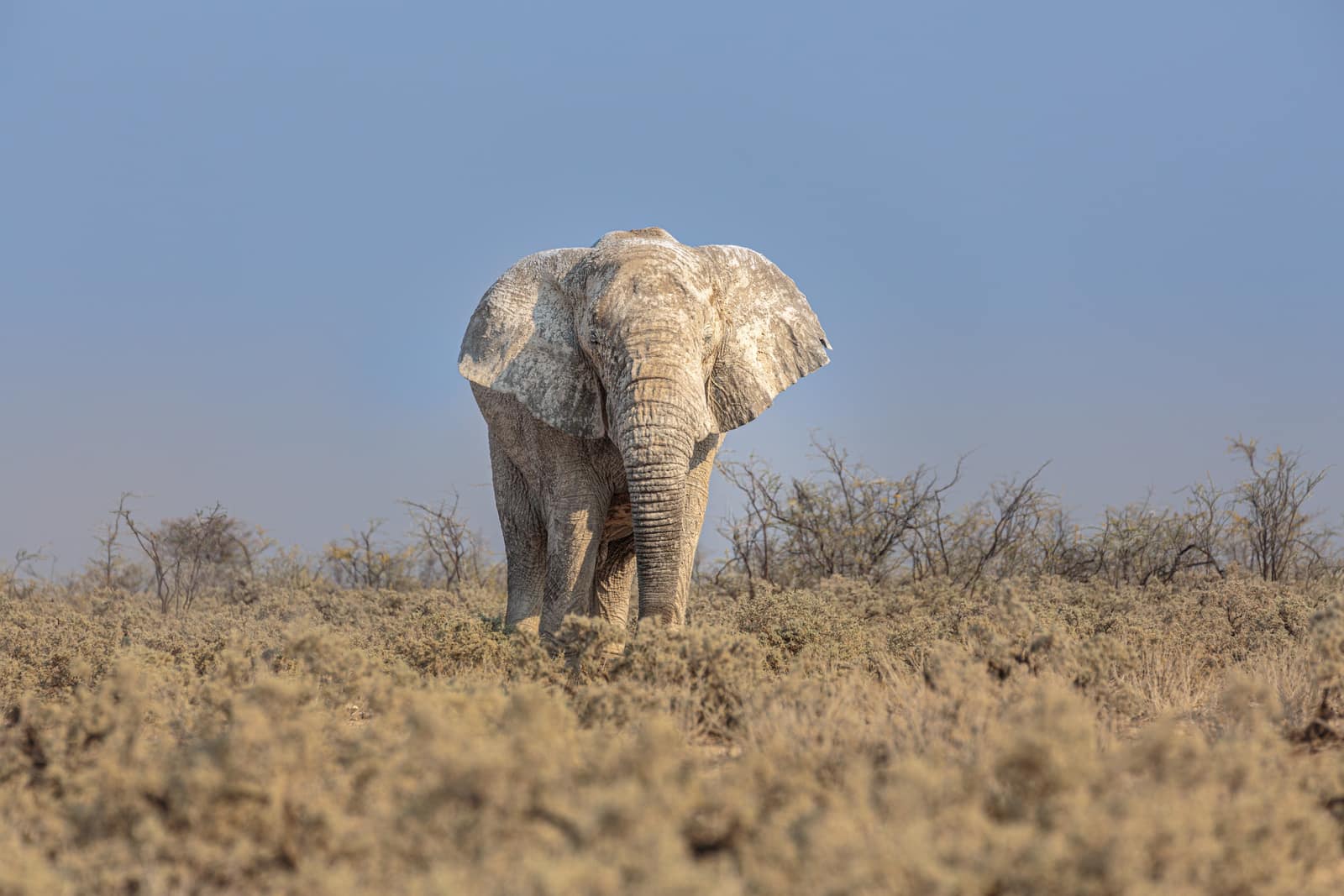 Kruger National Park