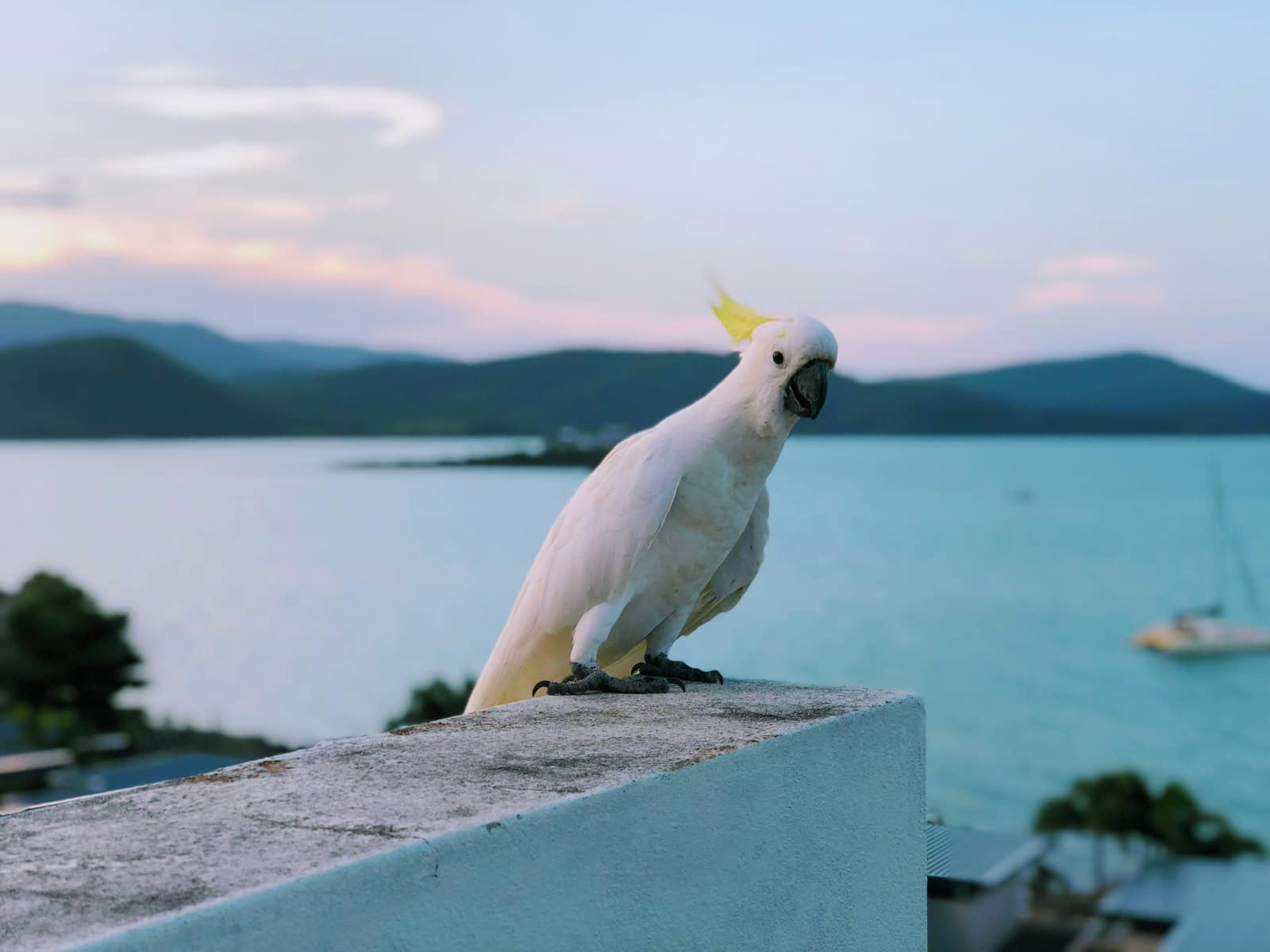 Airlie Beach