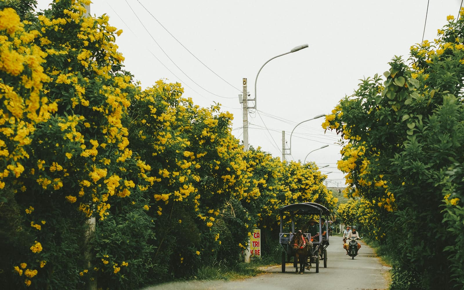 Ben Tre