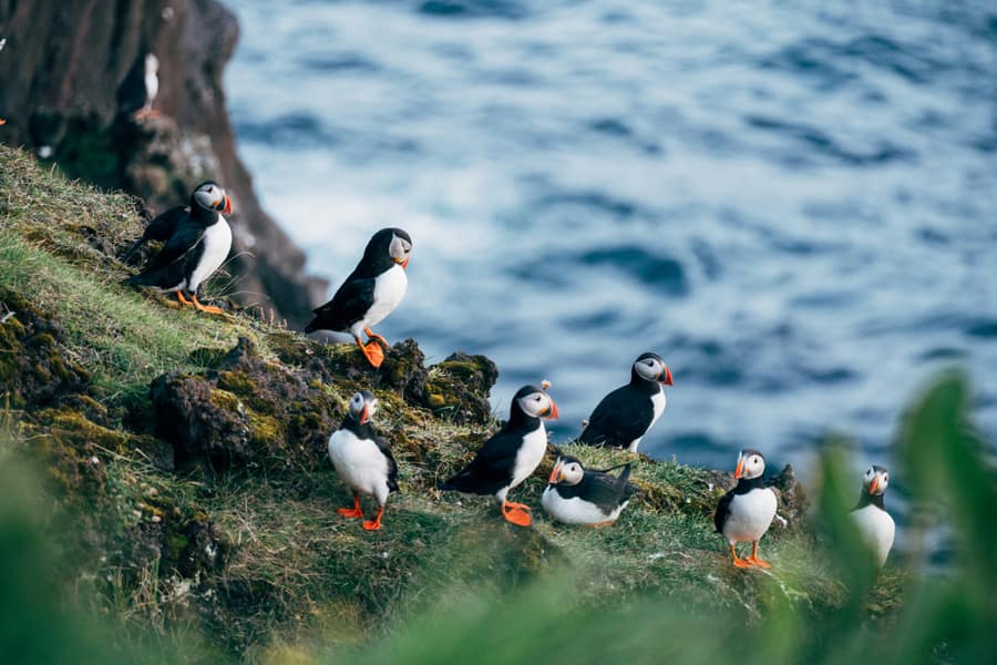 Heimaey Island
