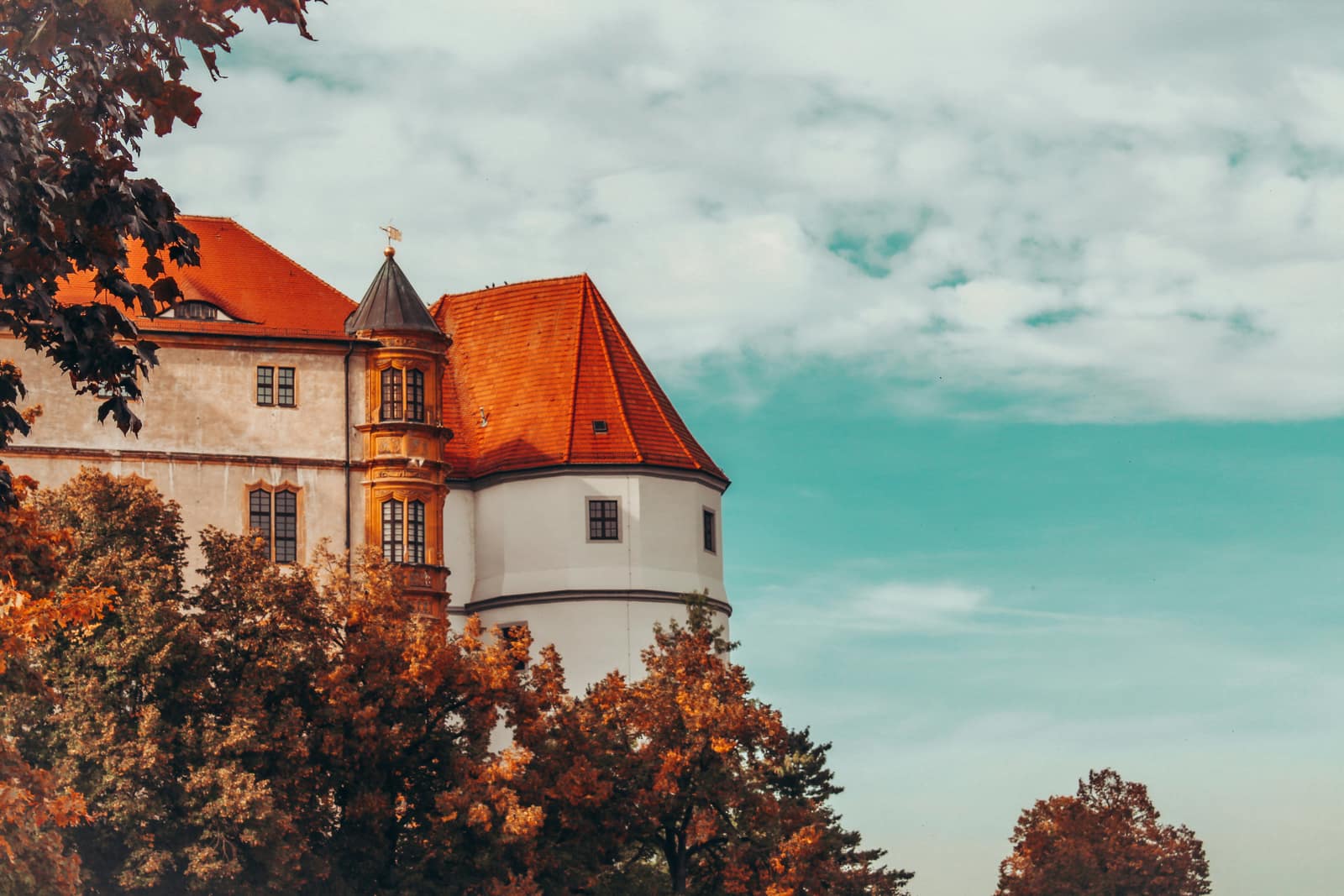 Torgau