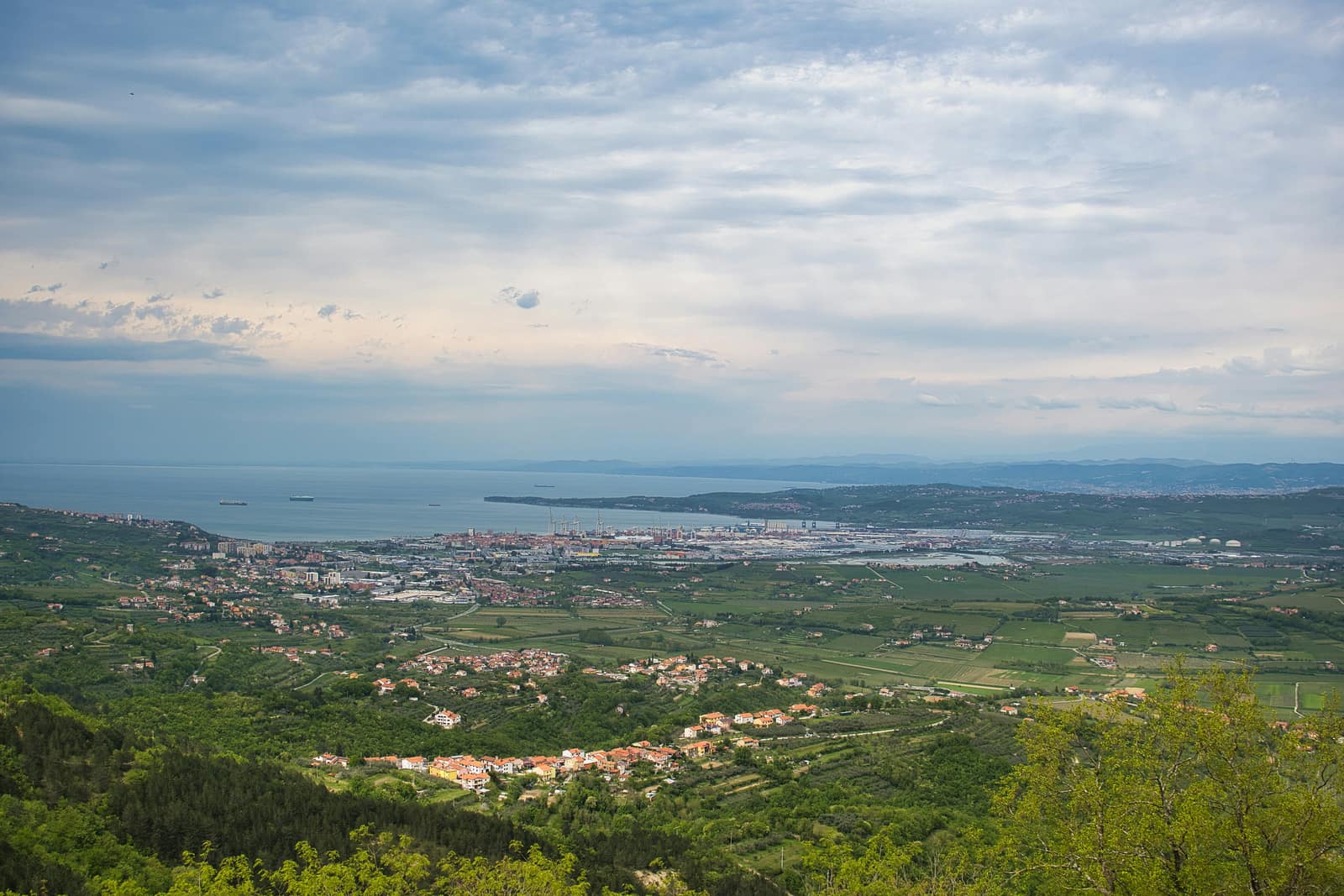 Koper