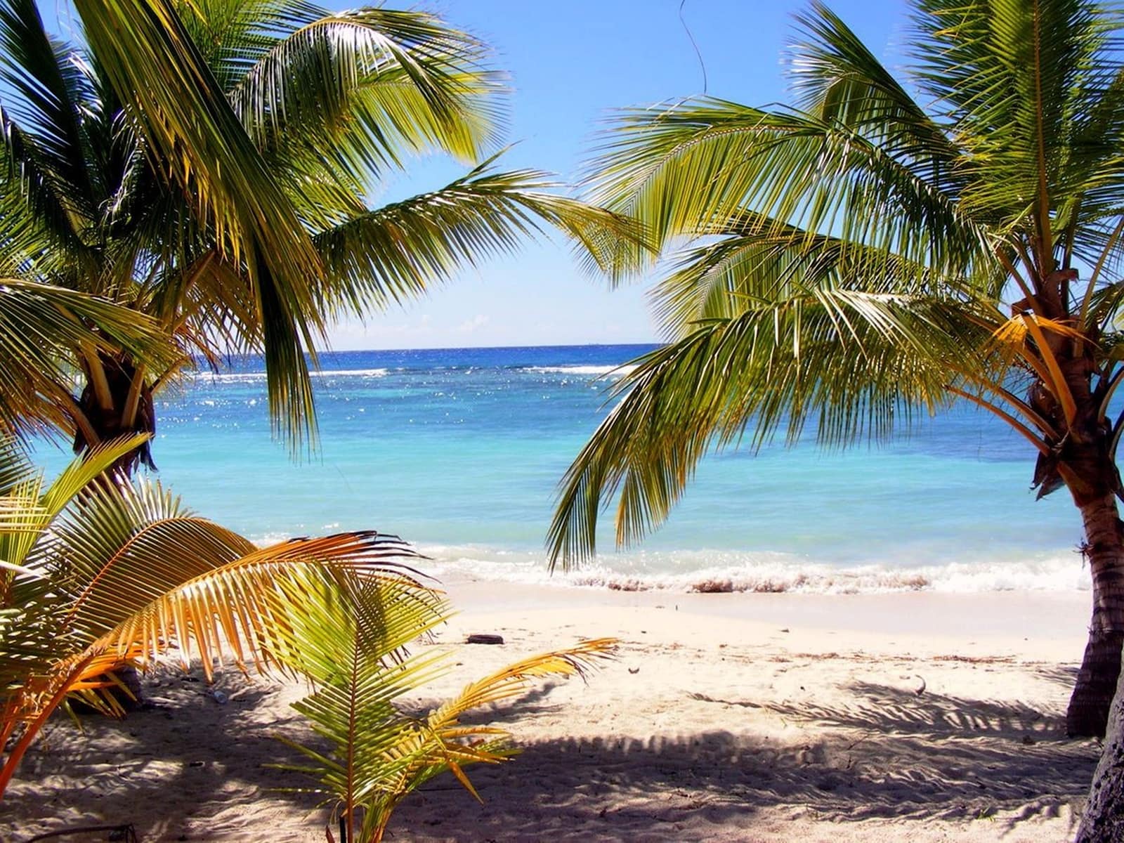 Dominica