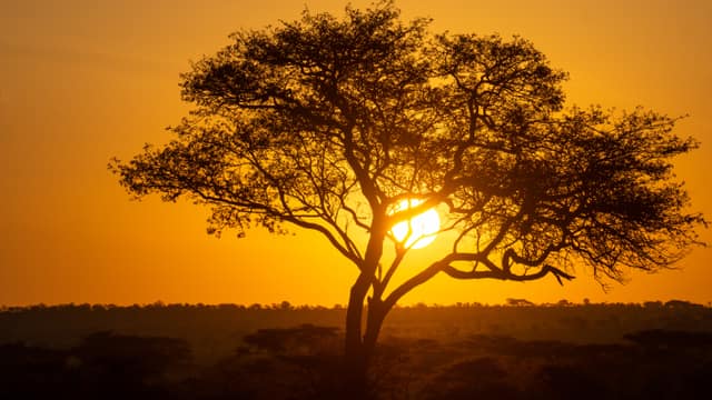 Serengeti National Park