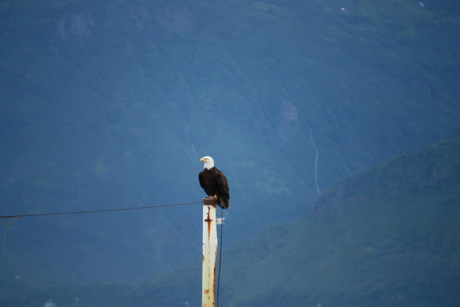 Valdez, Alaska