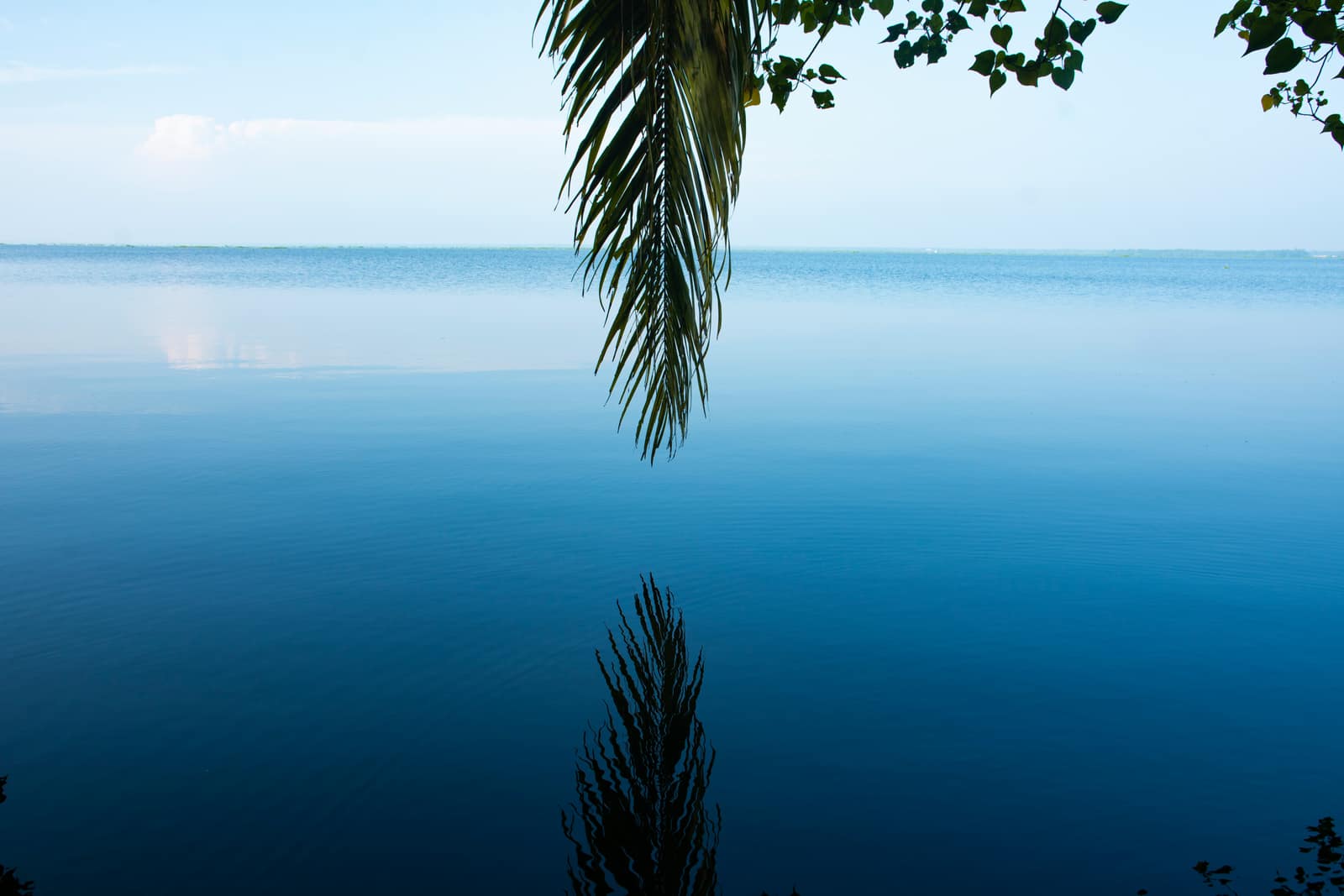 Kavalam