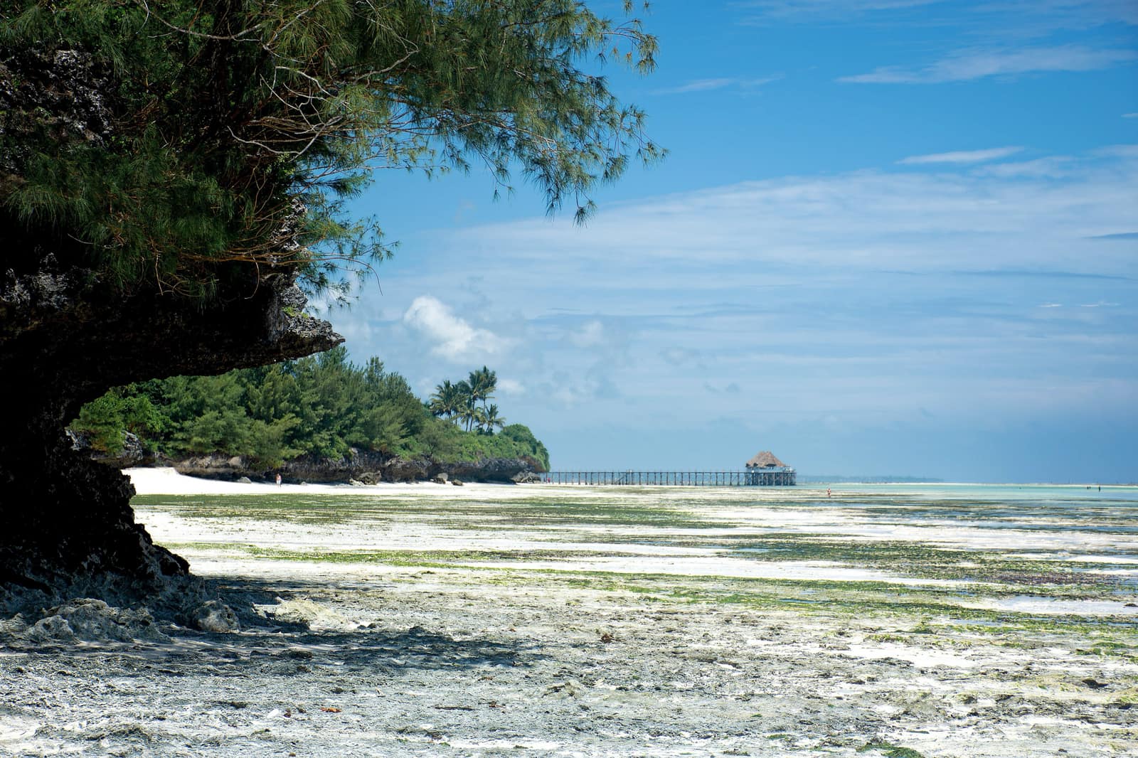 Zanzibar