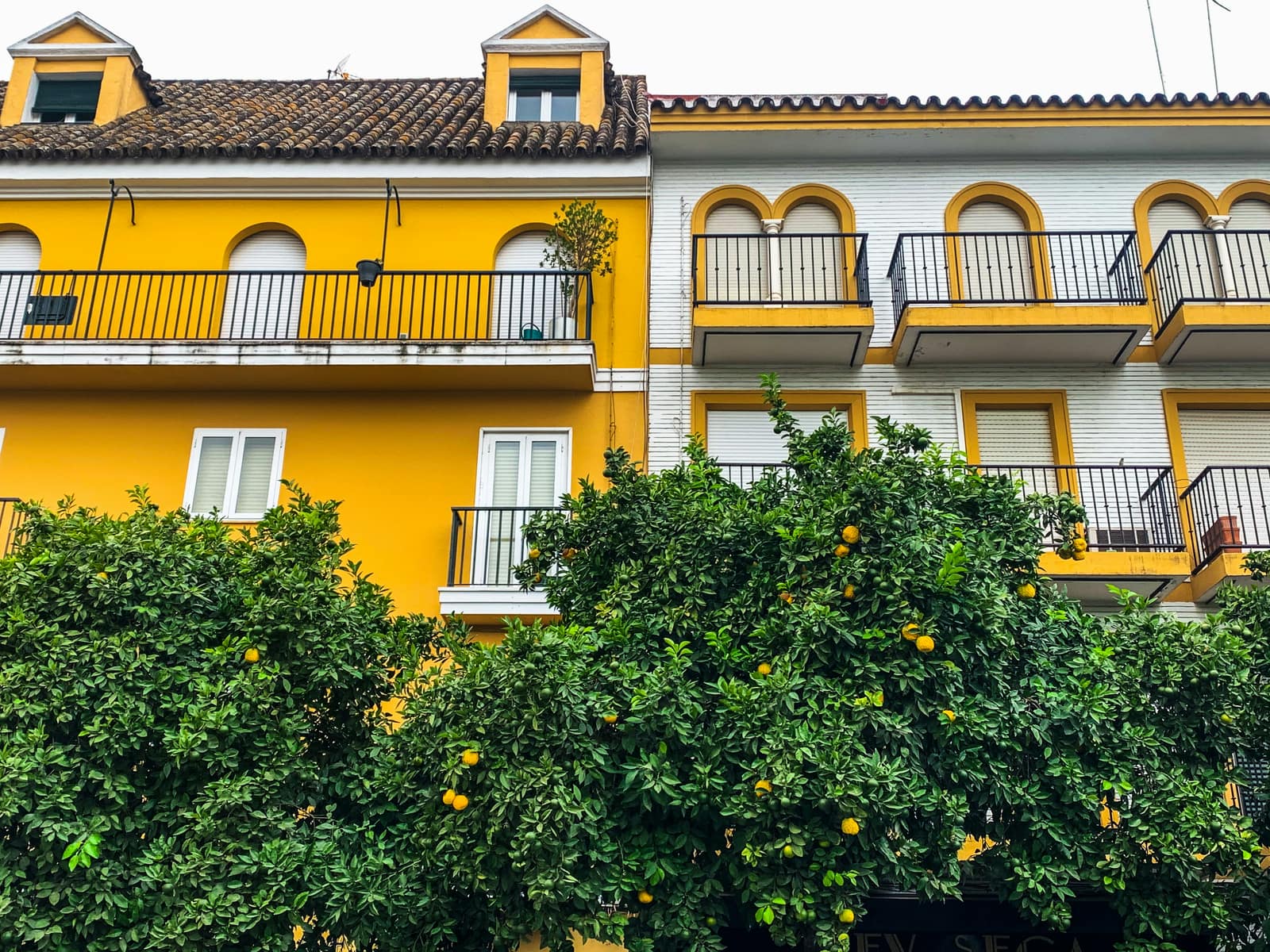 Isla Minima, Seville