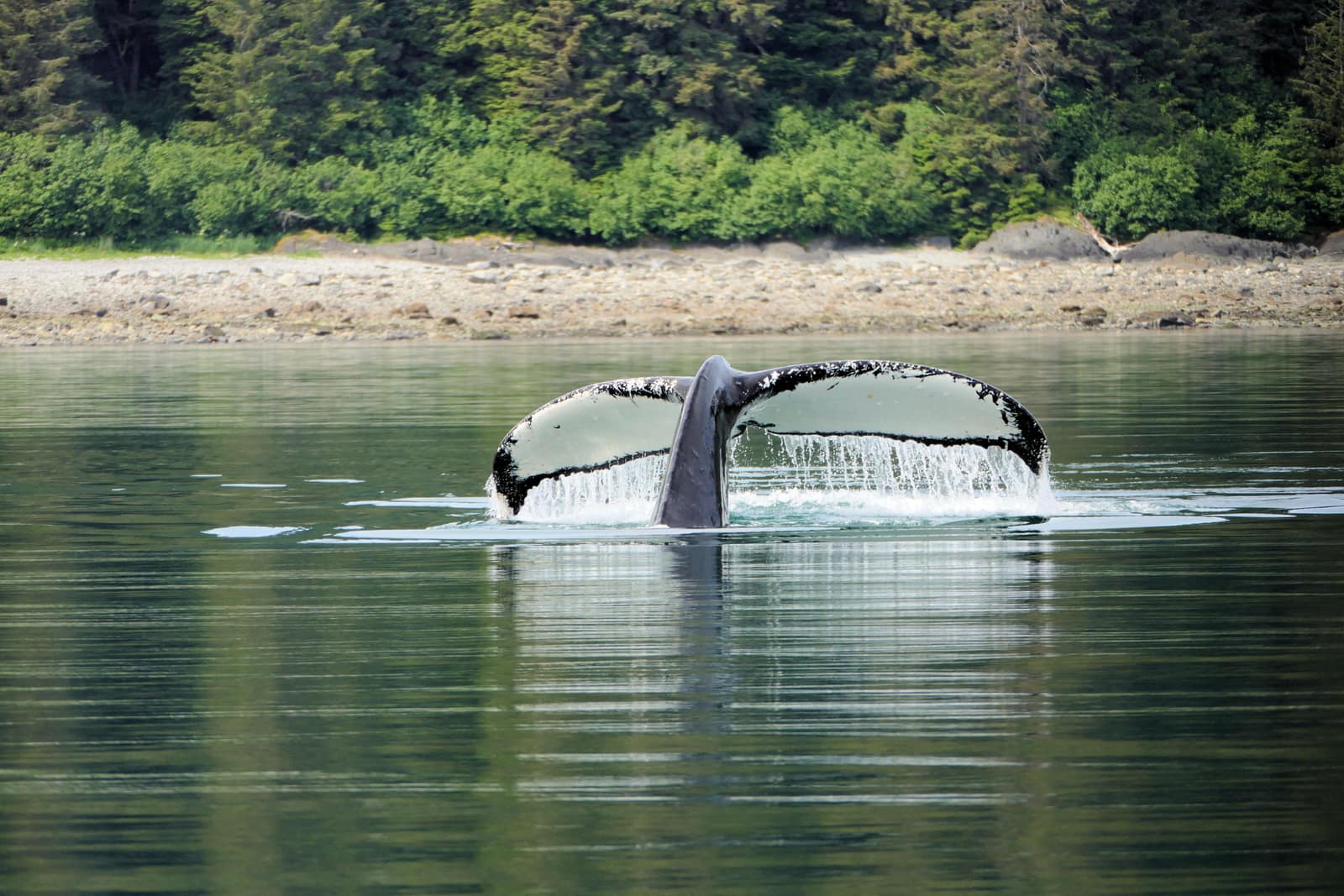 Frederick Sound, Alaska