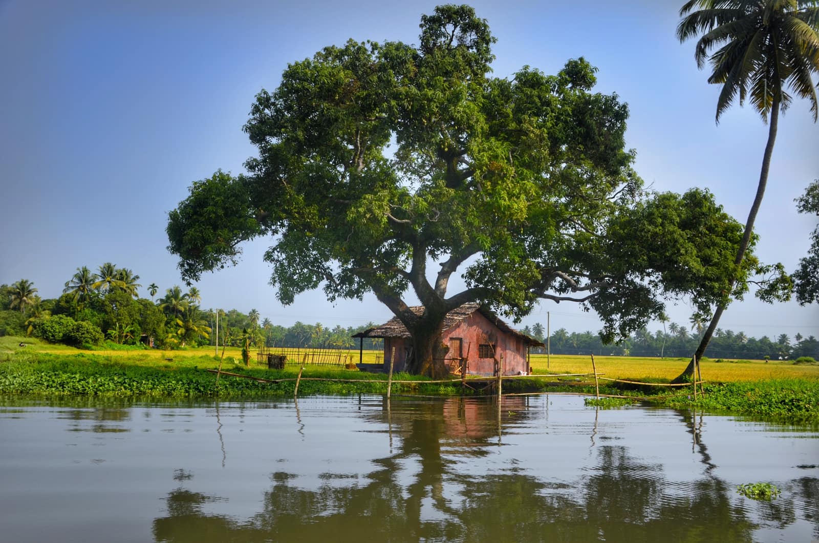 Vaikom