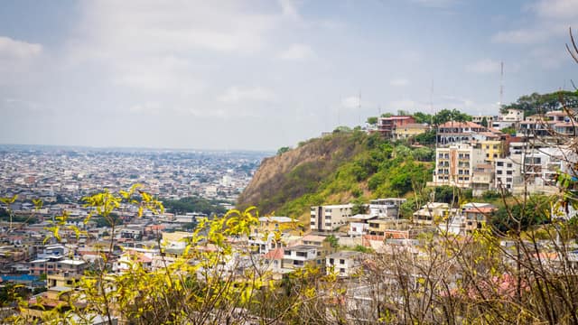 Guayaquil