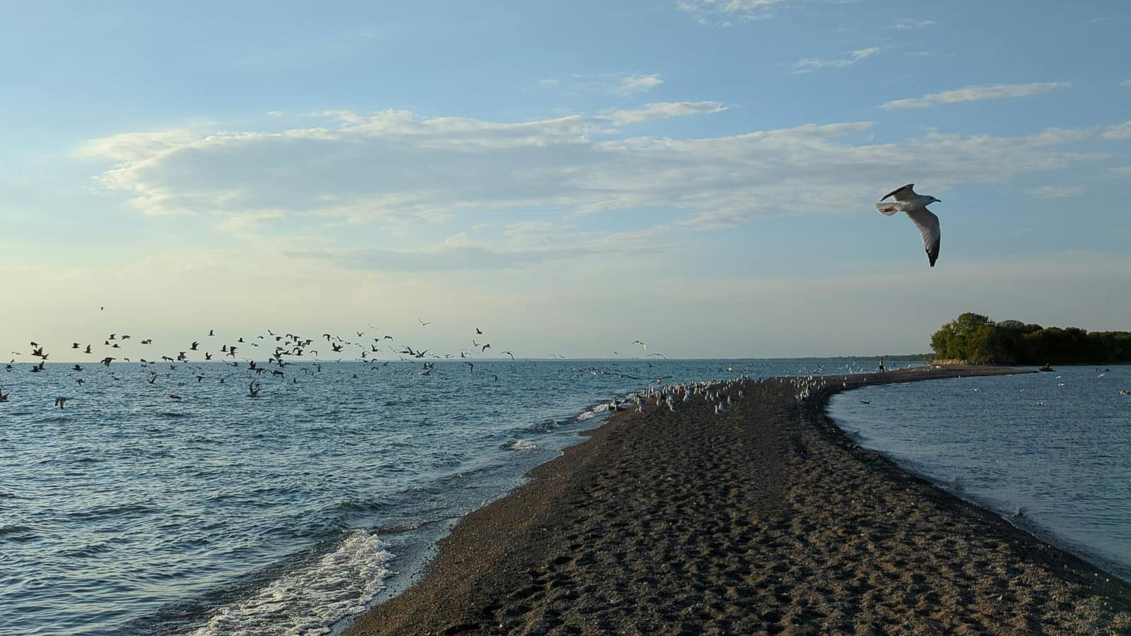 Point Pelee National Park, Ontario