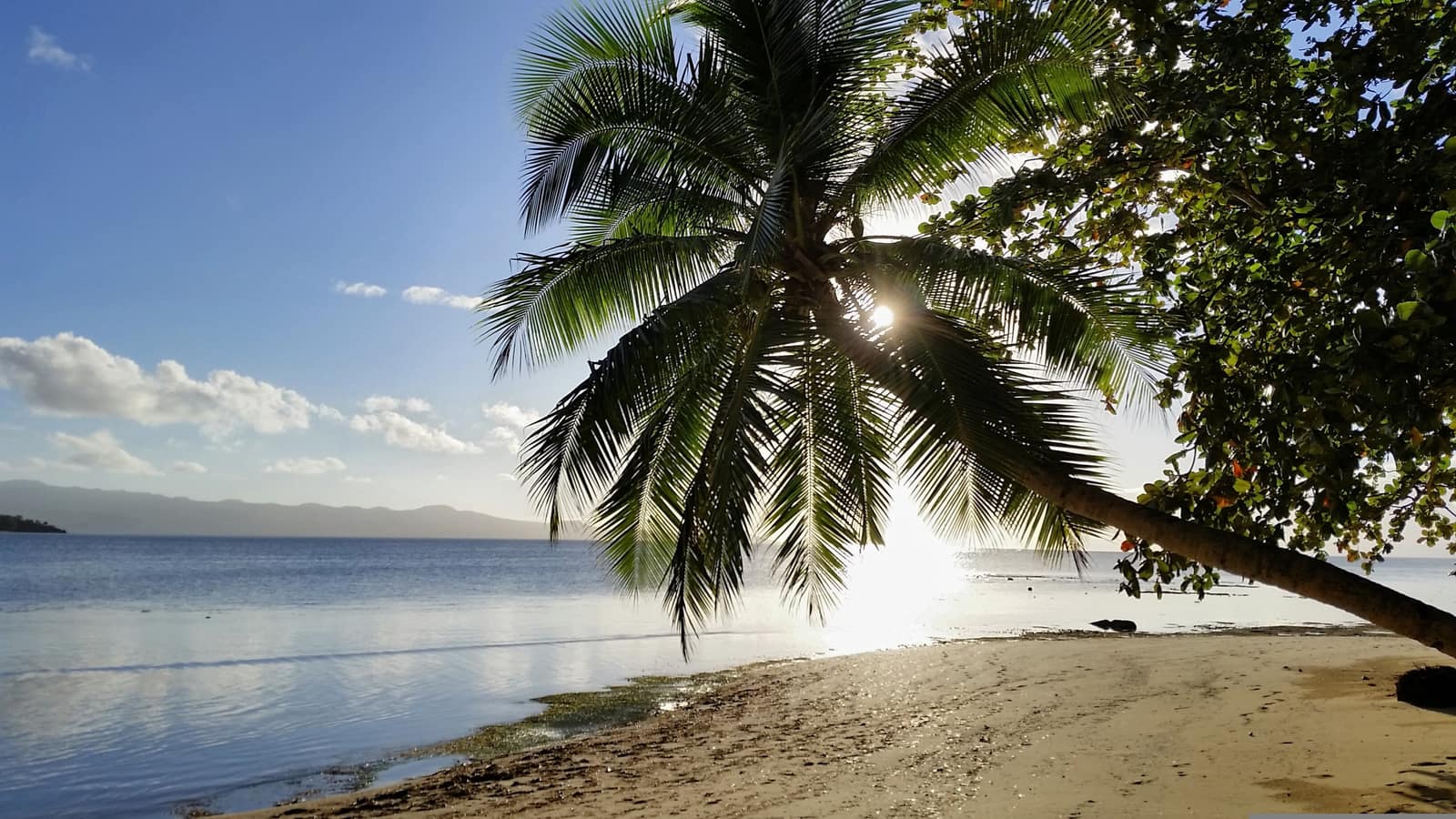 Savusavu