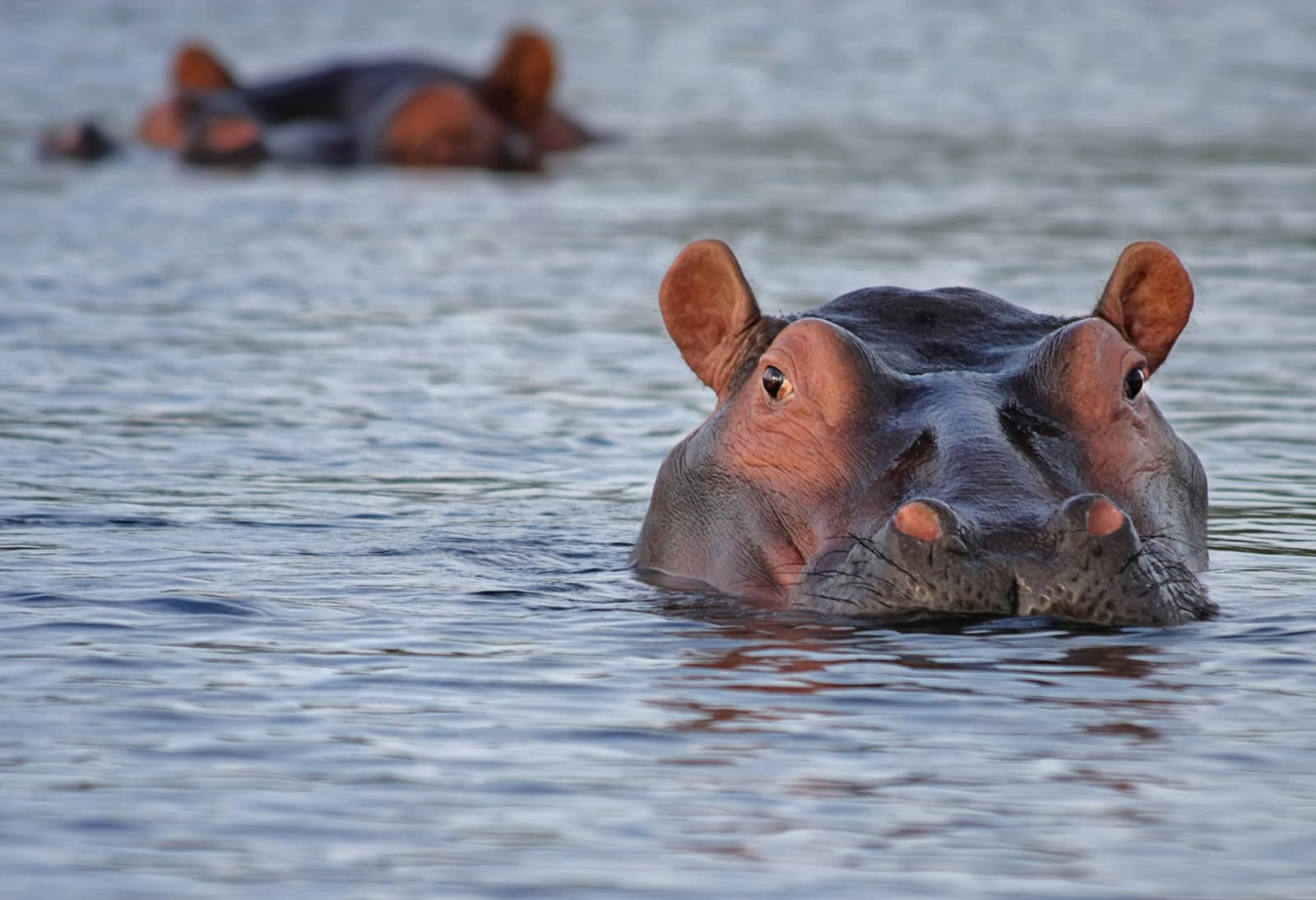 Lake Manyara
