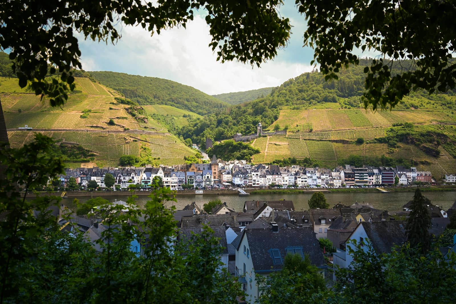 Zell