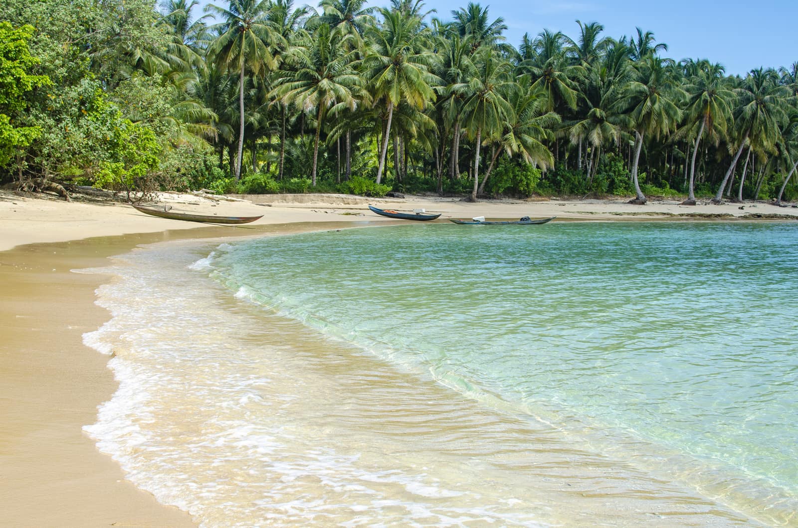 Cenderawasih Bay