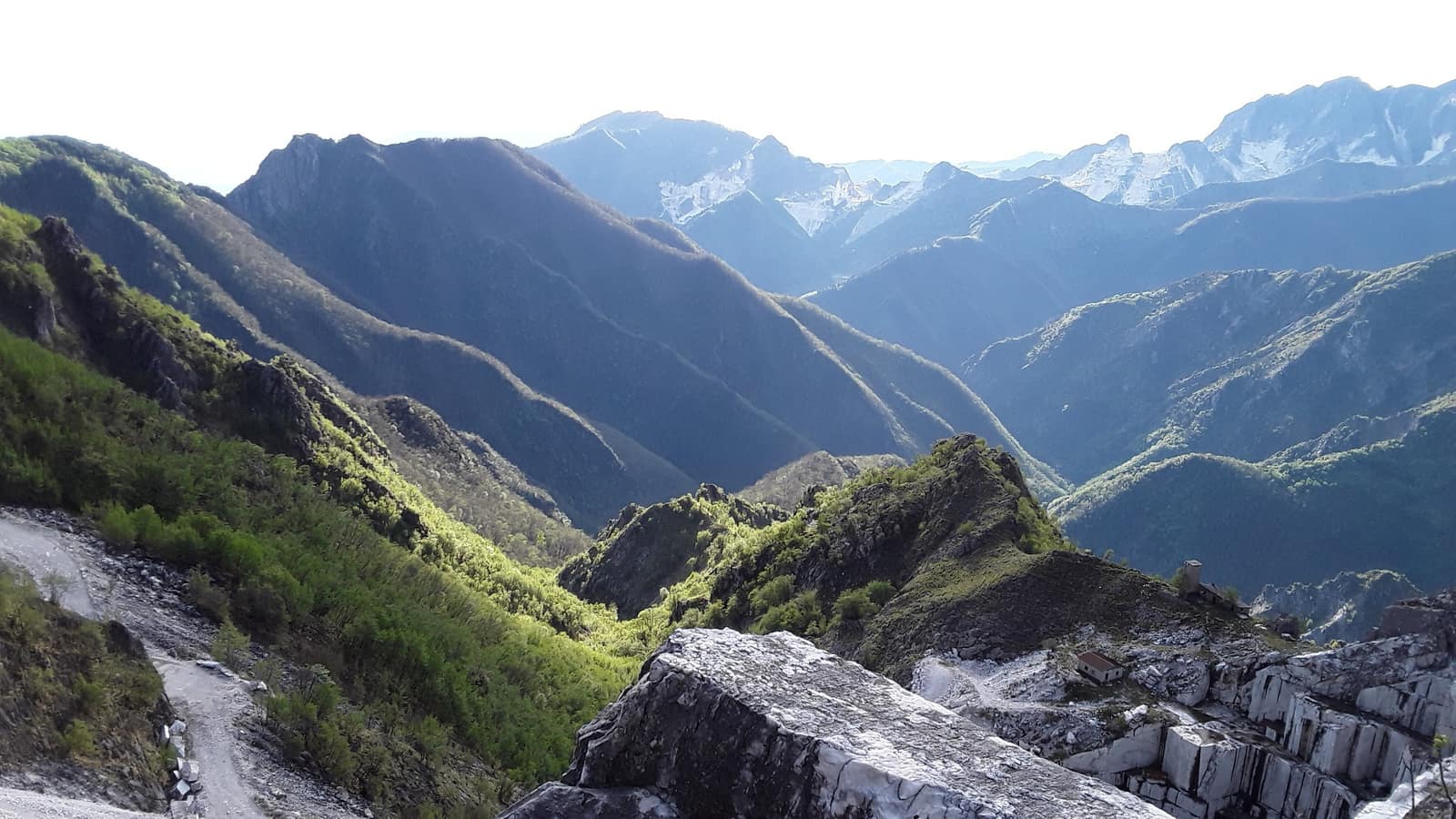 Carrara