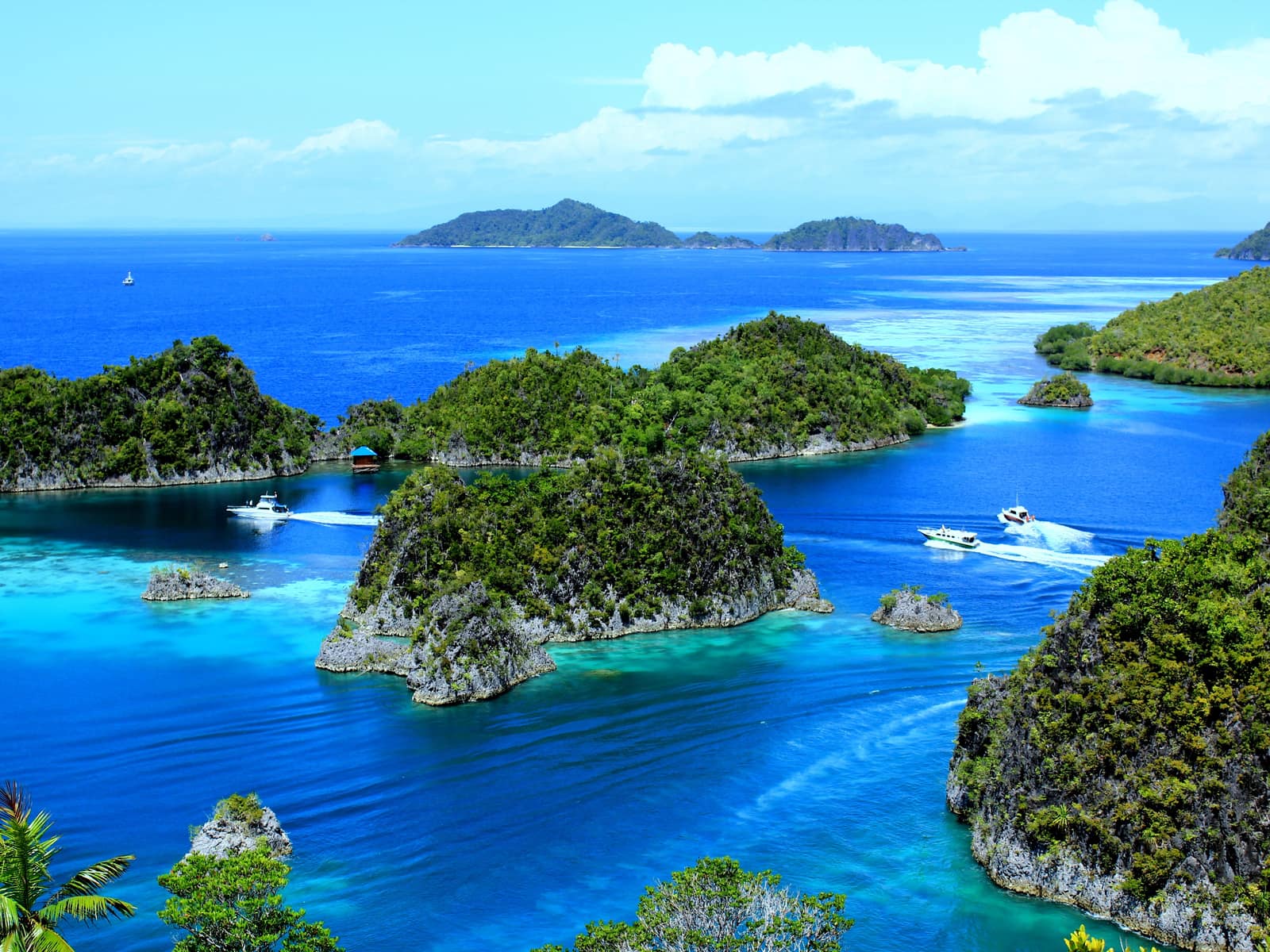Raja Ampat Islands