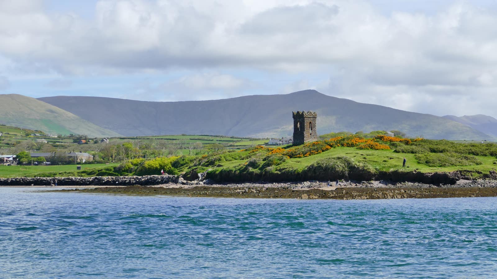 Dingle