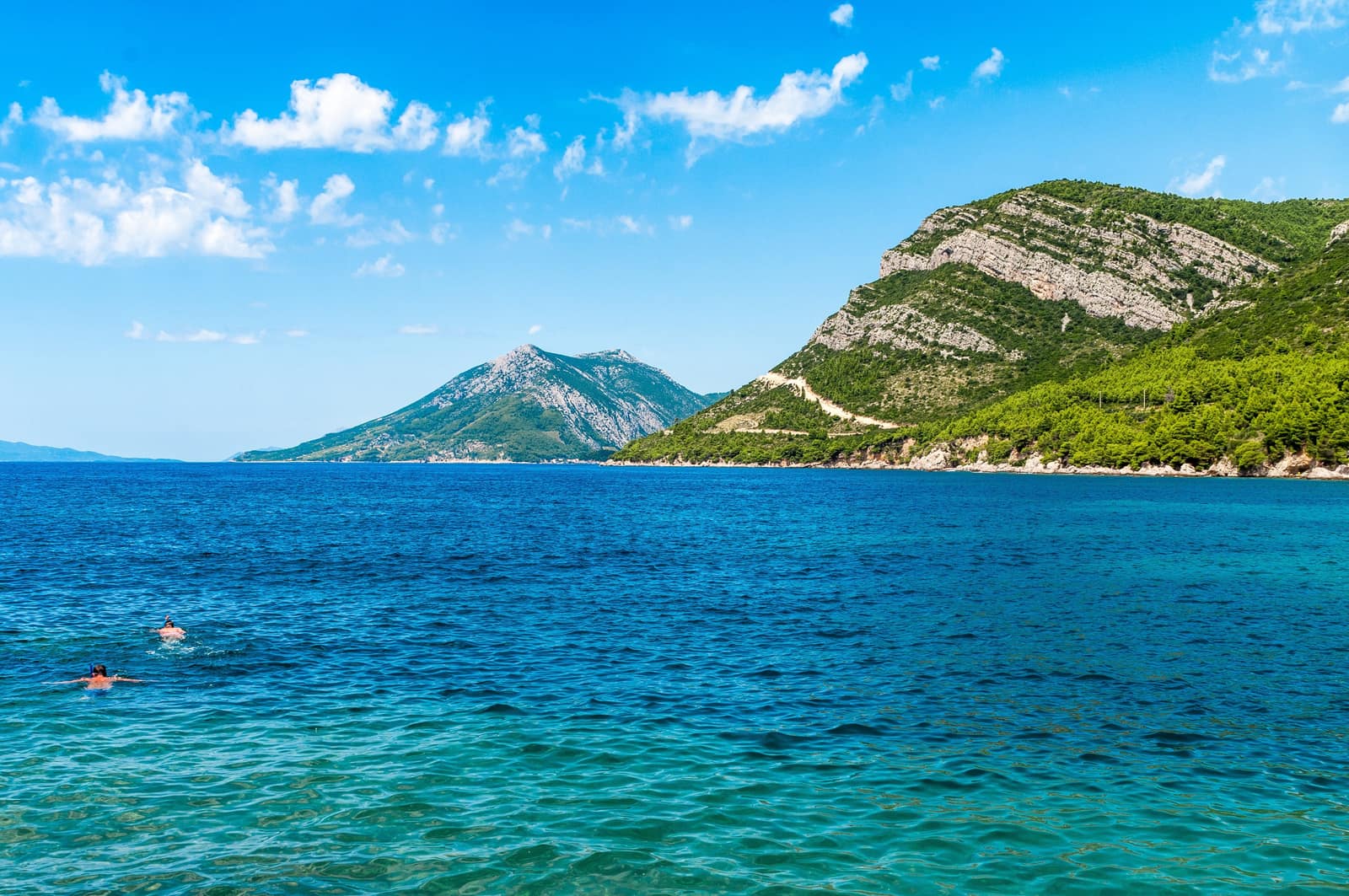 Trstenik