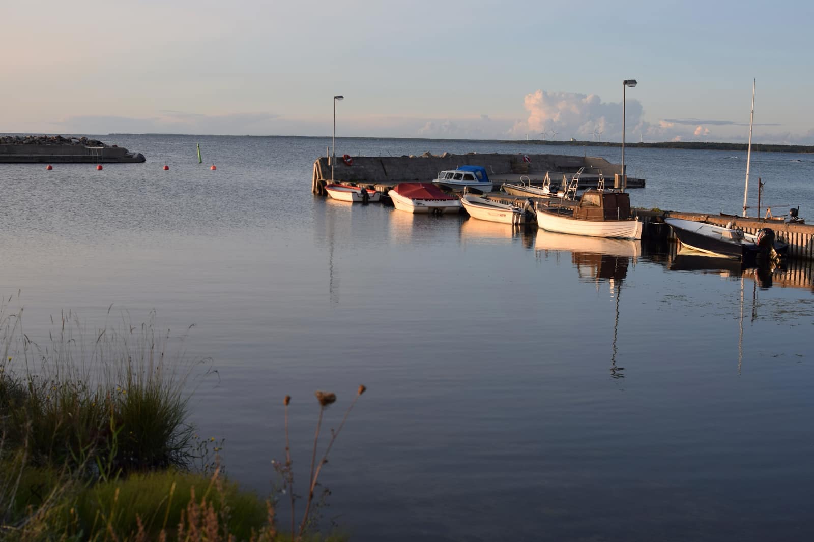 Djupavik