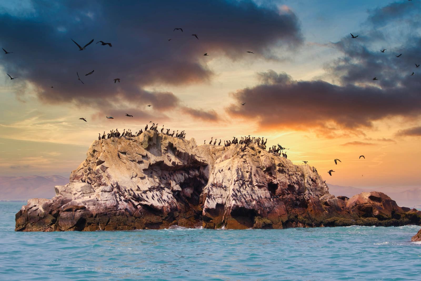 Ballestas Islands