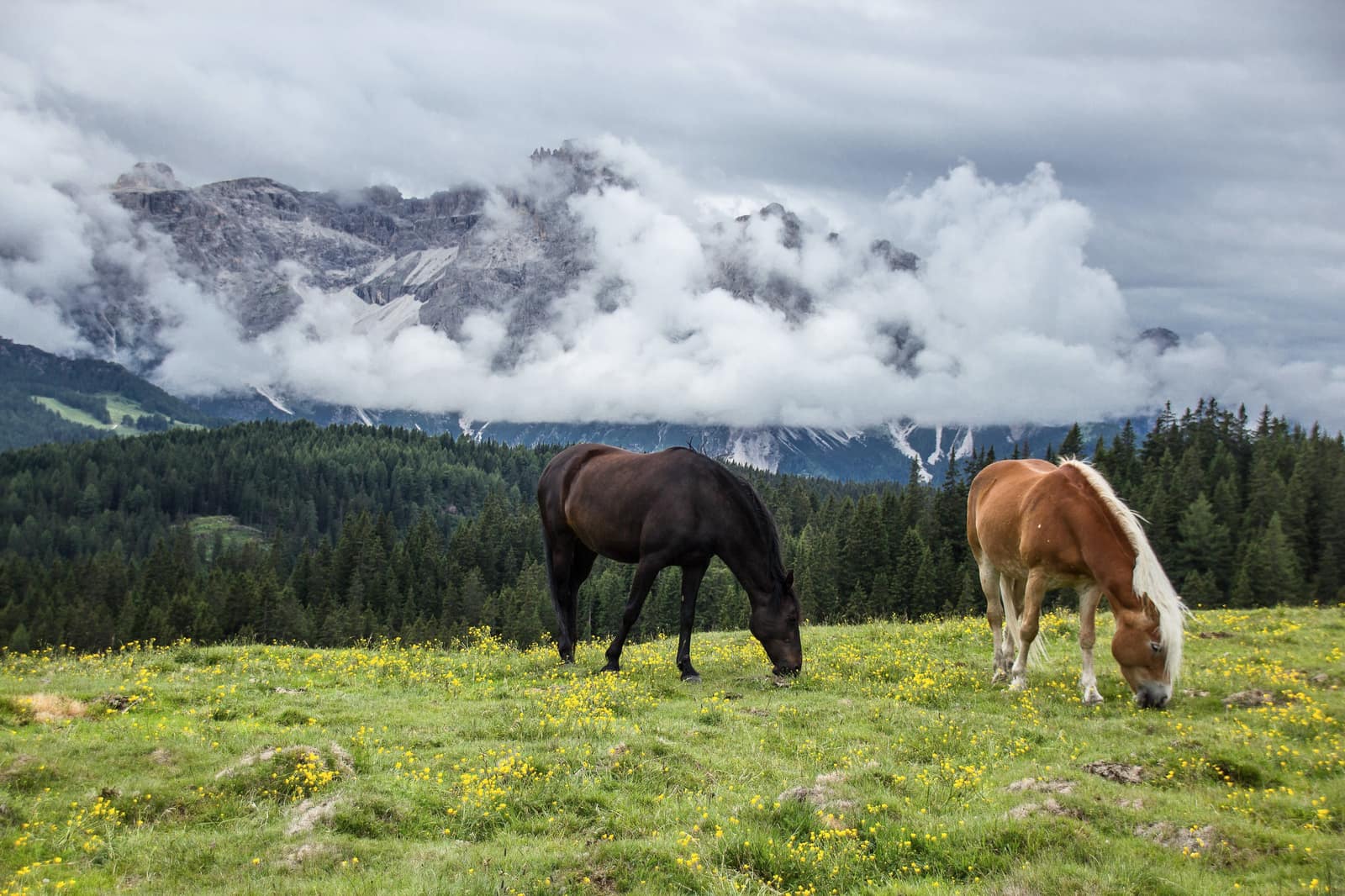 Gorkhi Terelj National Park