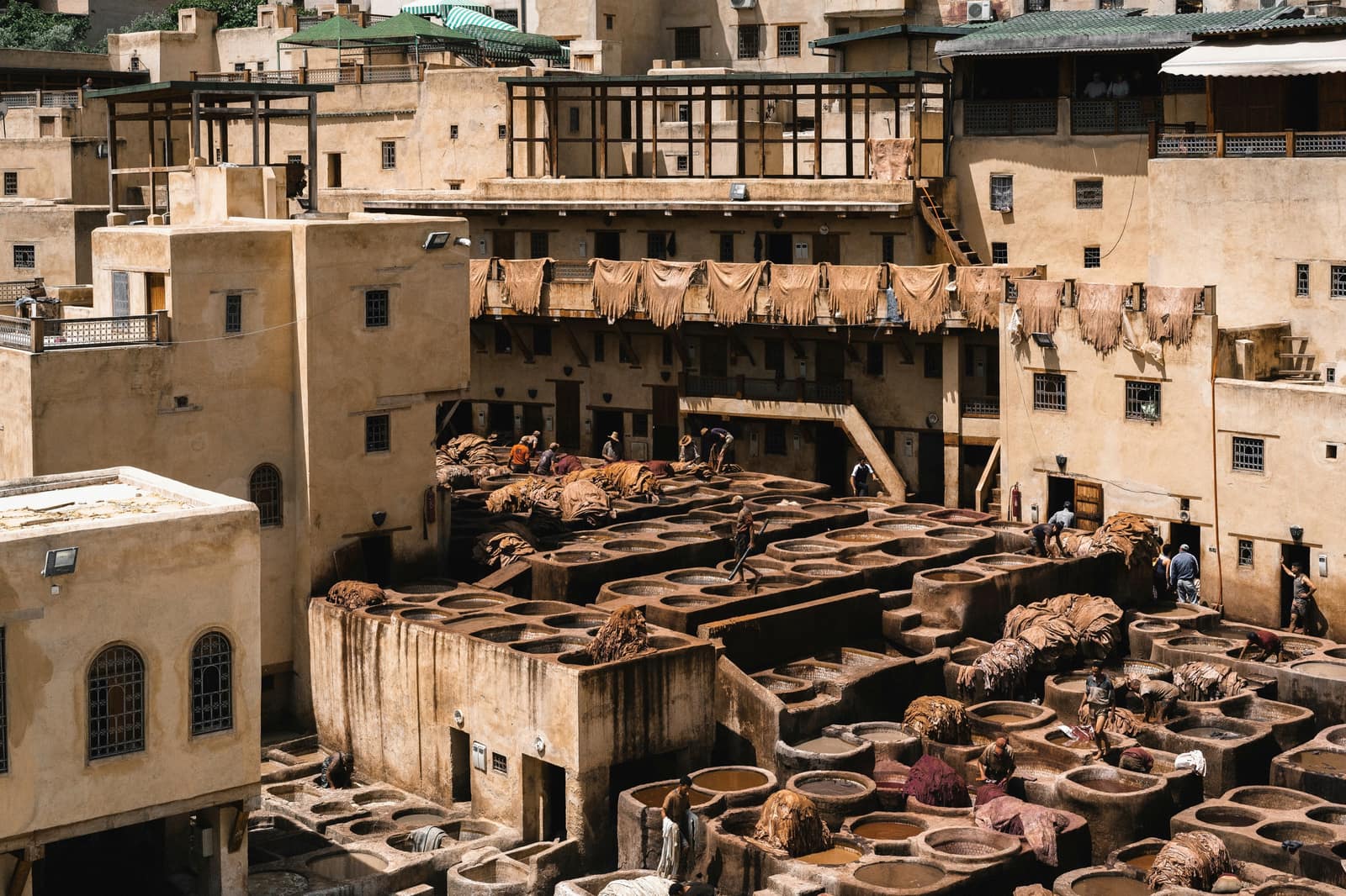 Fez