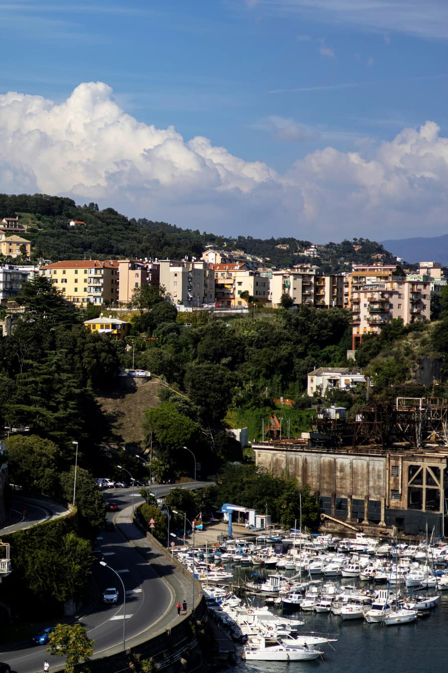 Savona
