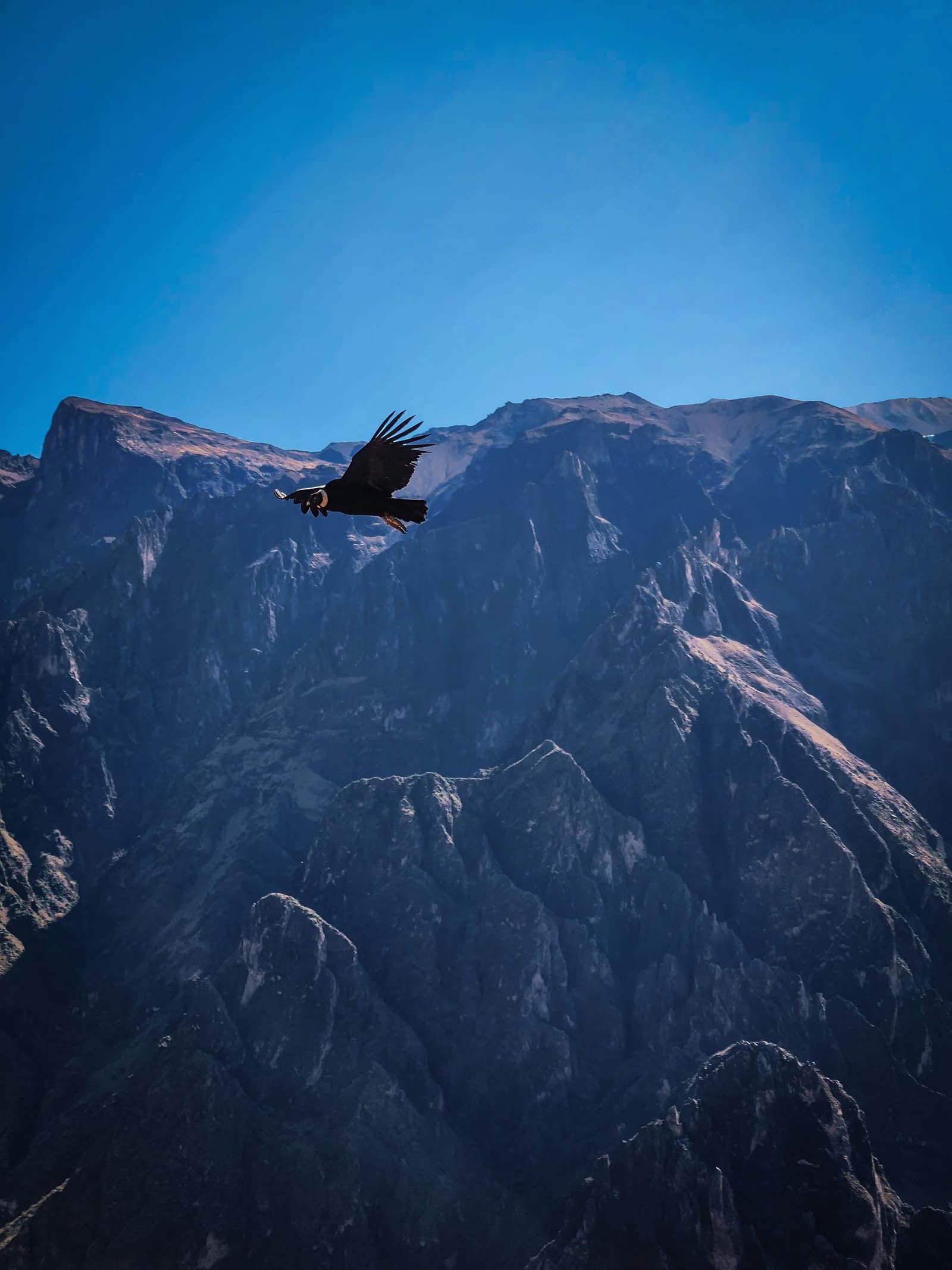 Colca Canyon