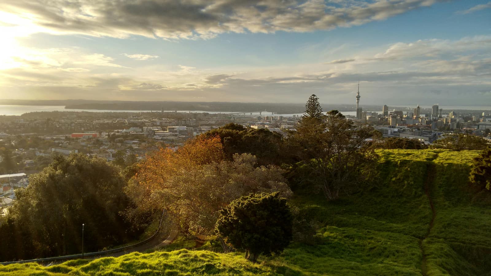 Auckland Islands