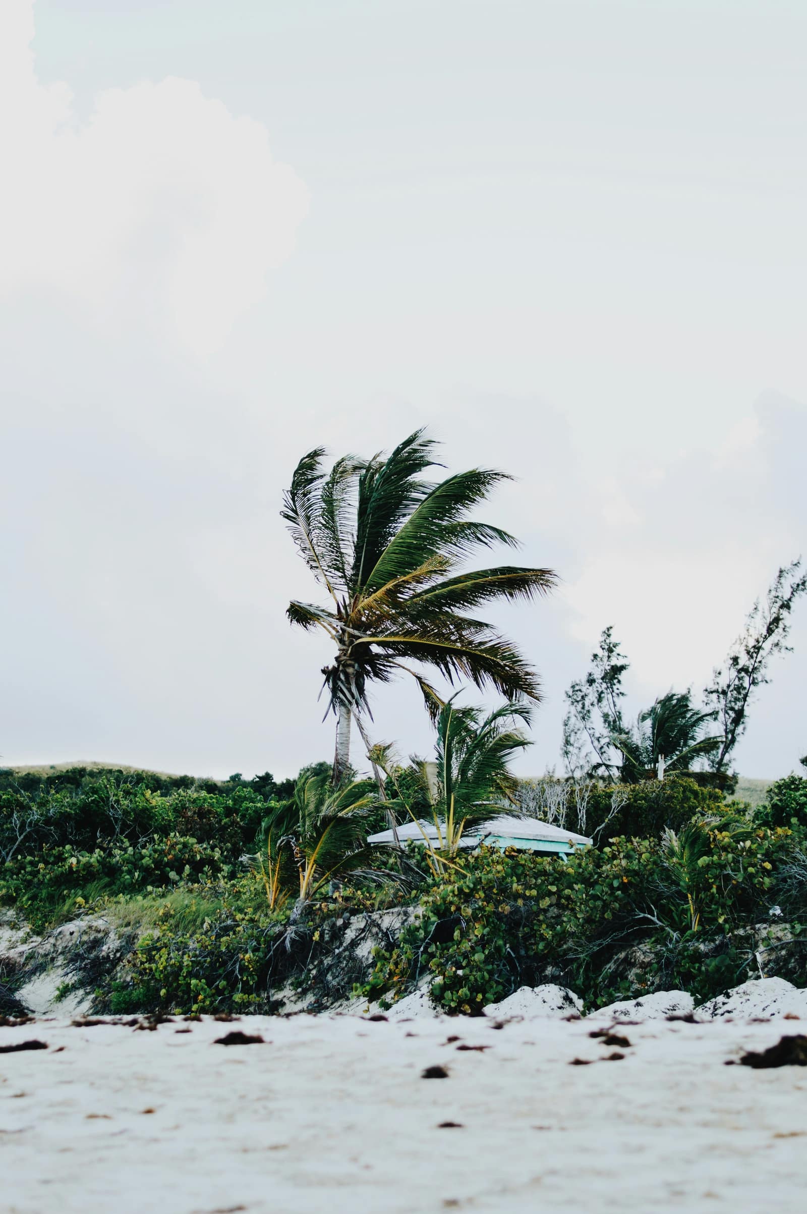 Culebra Island