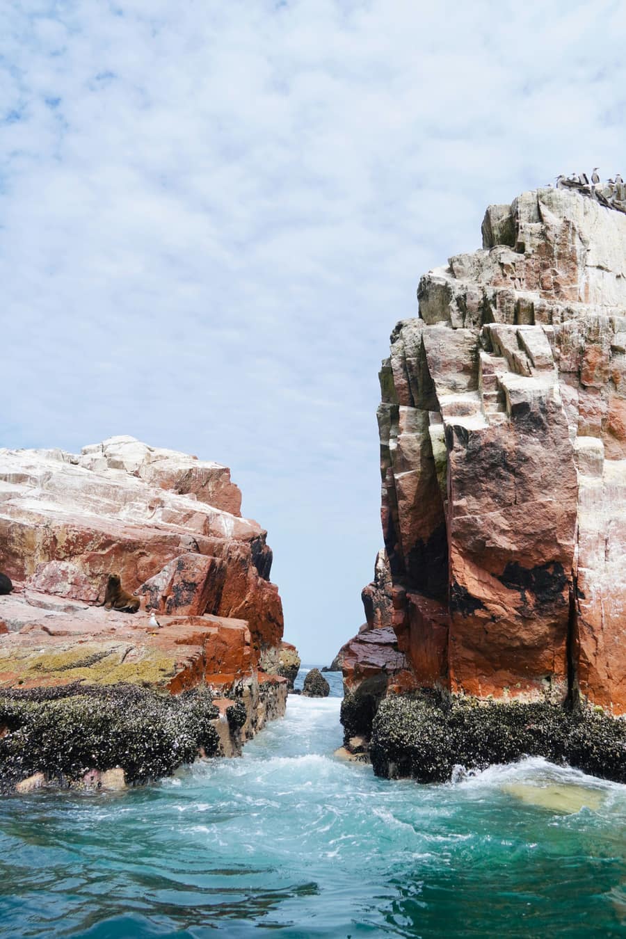 Paracas