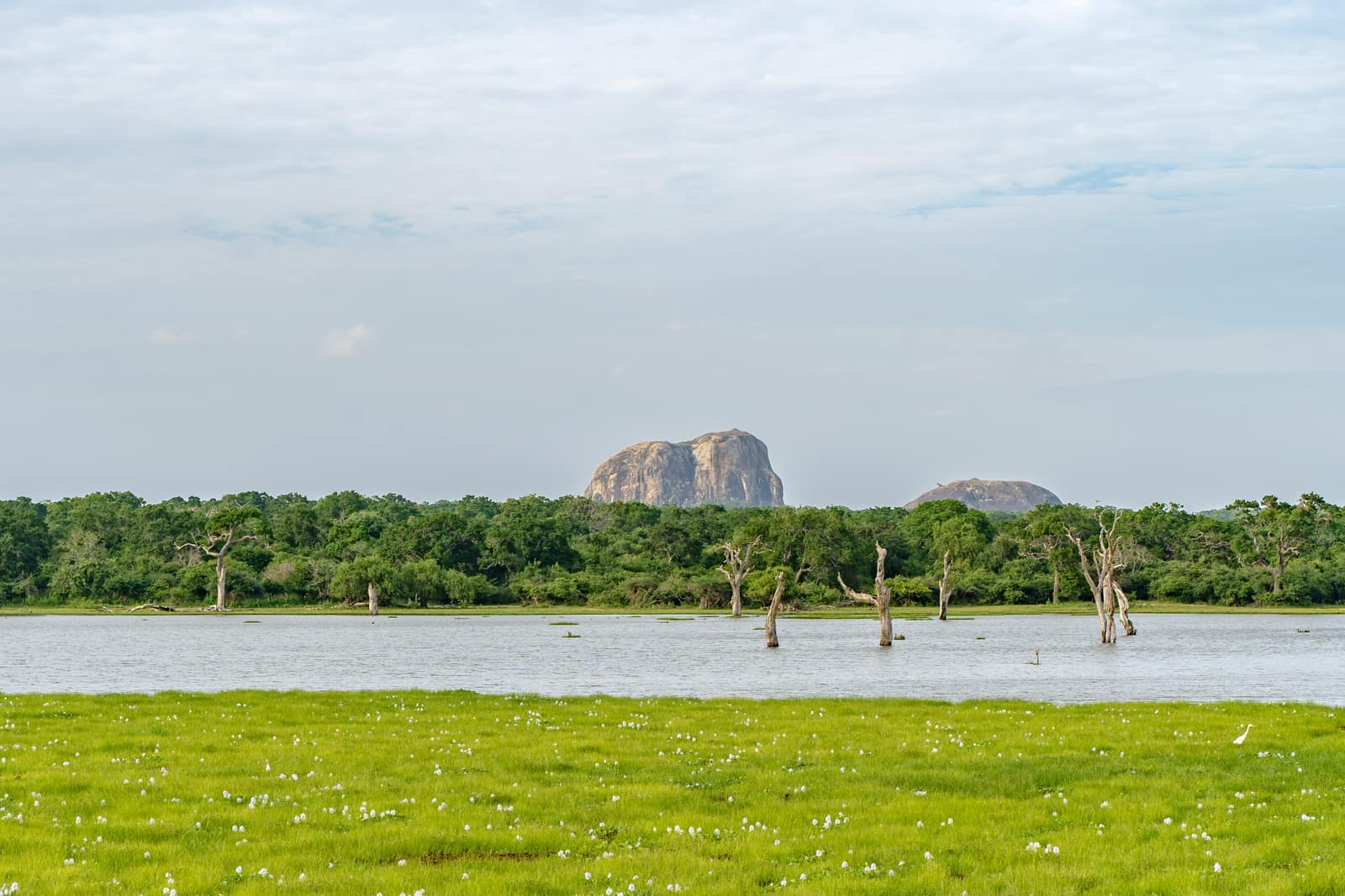 Yala National Park (Sri Lanka)
