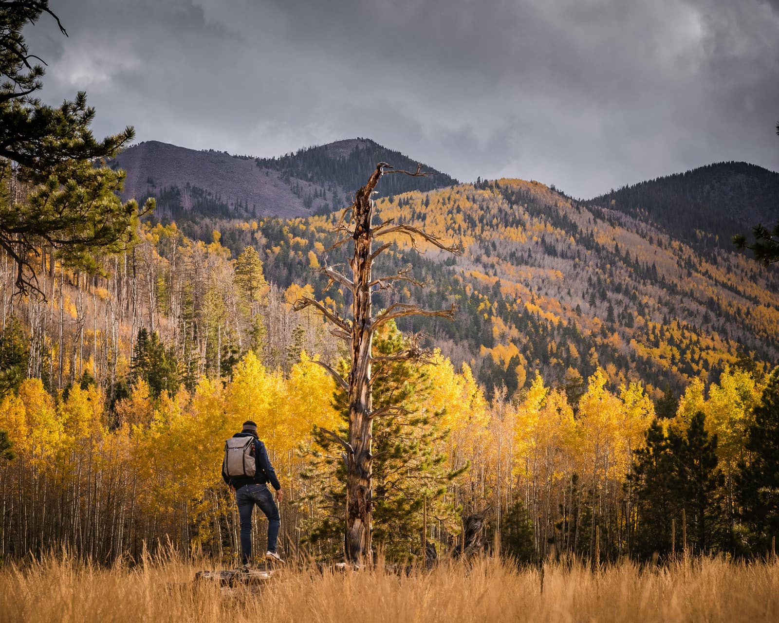 Flagstaff, Arizona