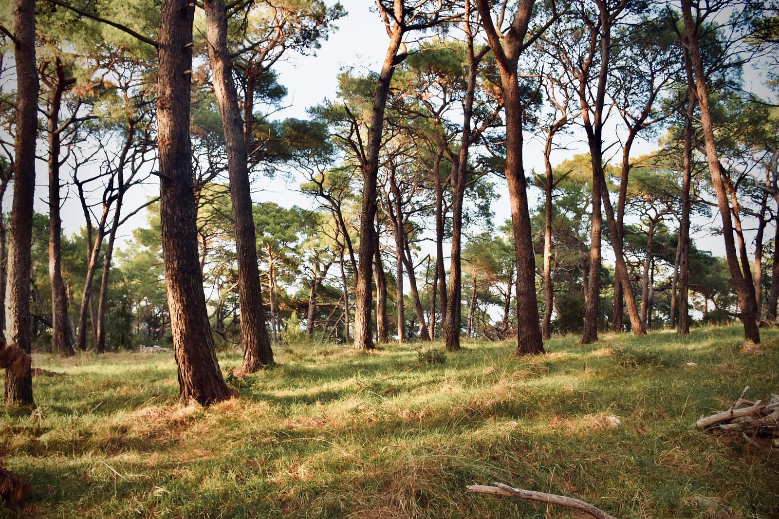 Mali Losinj