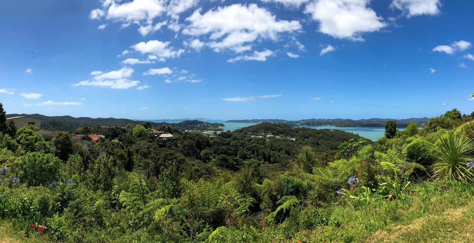 Paihia