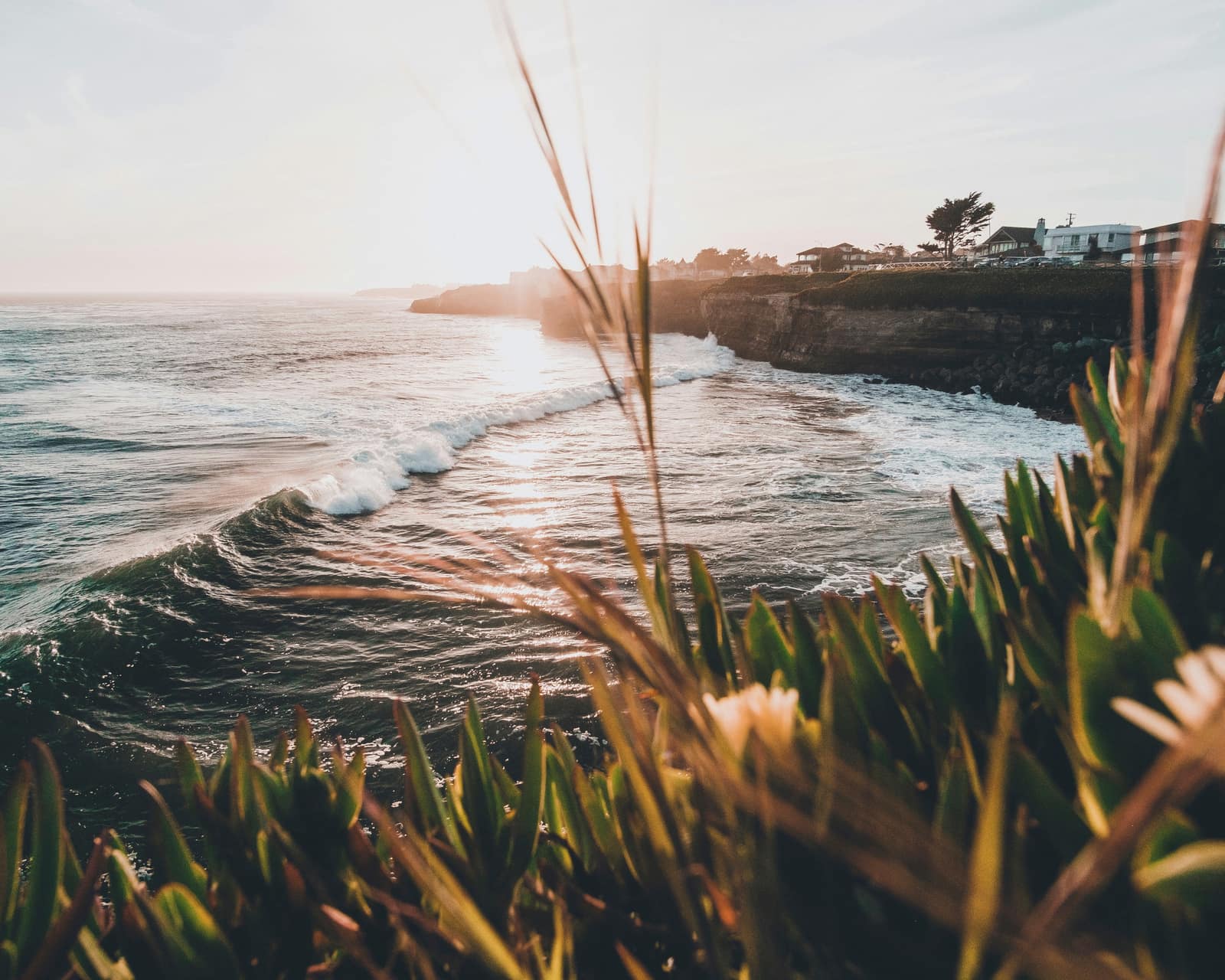 Santa Cruz Island, California