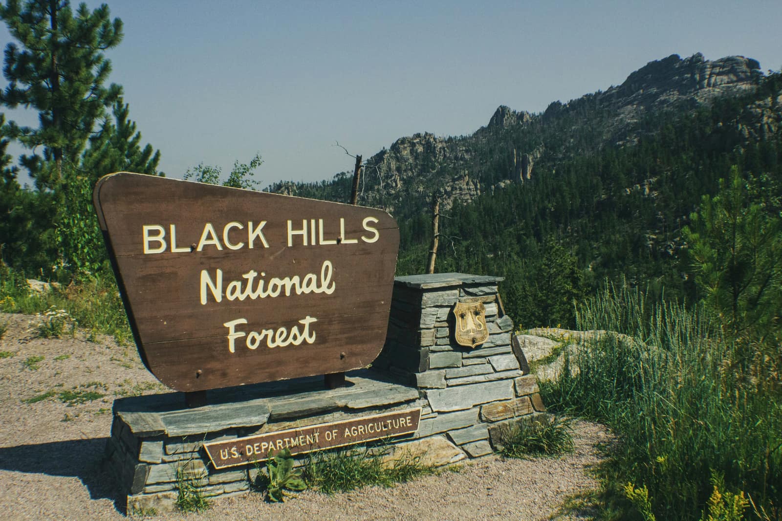 Black Hills National Forest, South Dakota