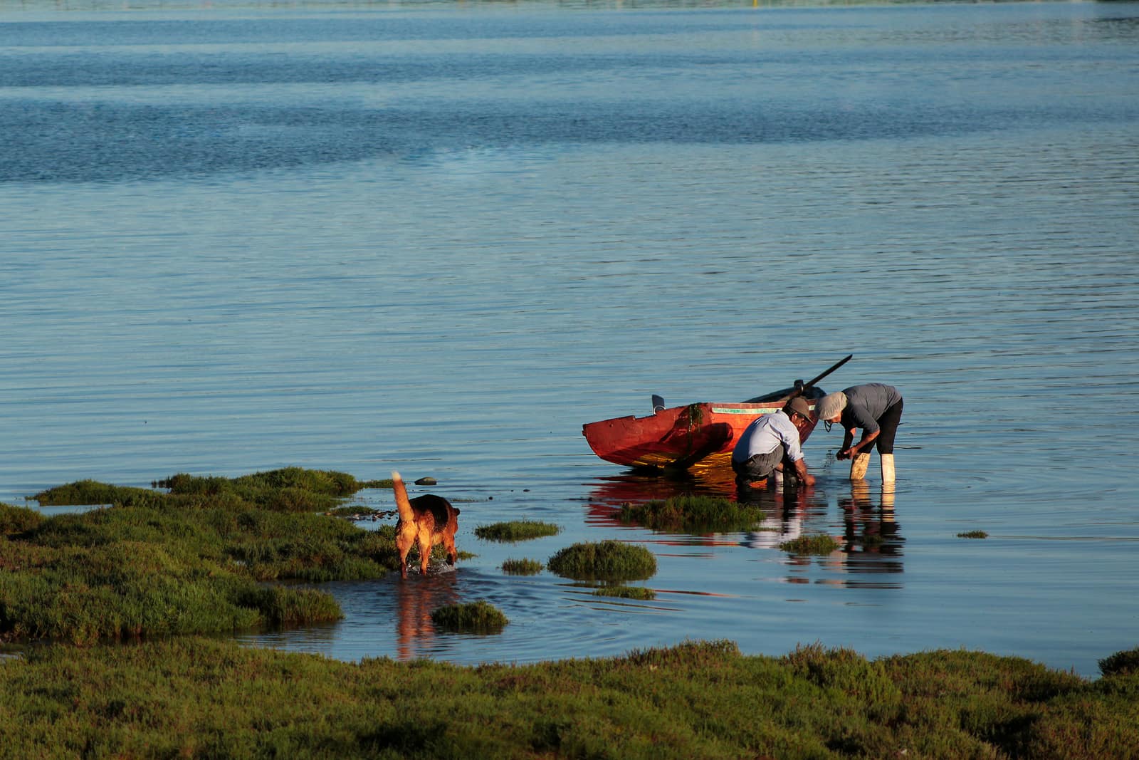 Quemchi, Chiloe Island