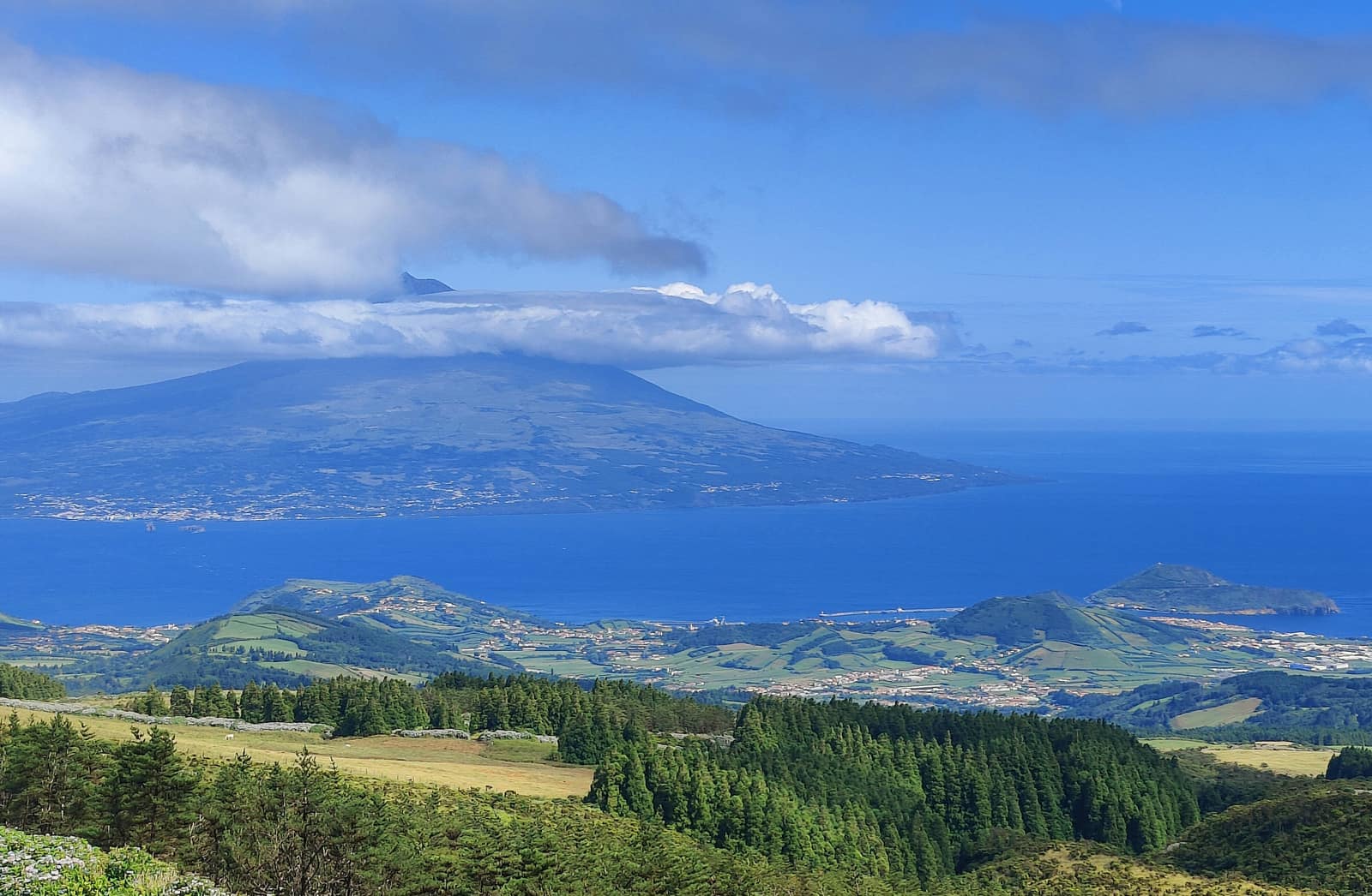 Faial