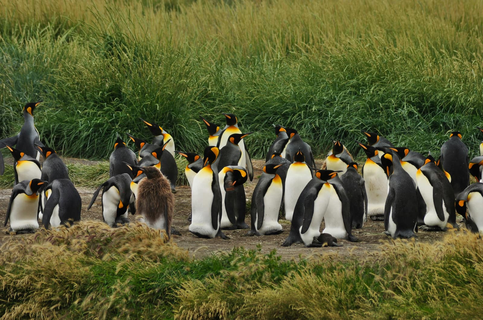Tierra del Fuego