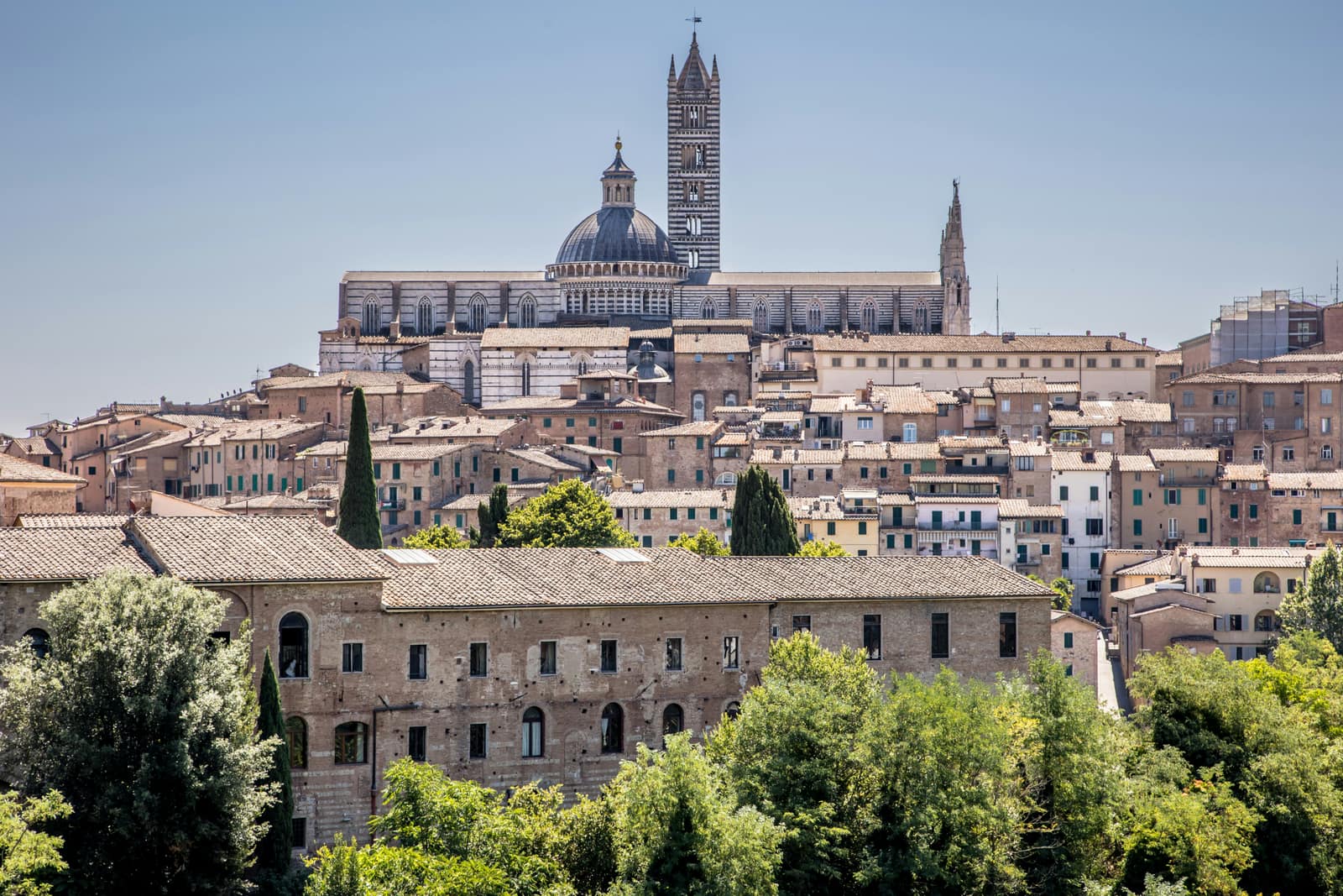 Siena