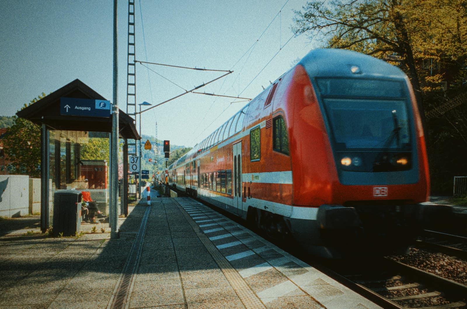 Wehlen